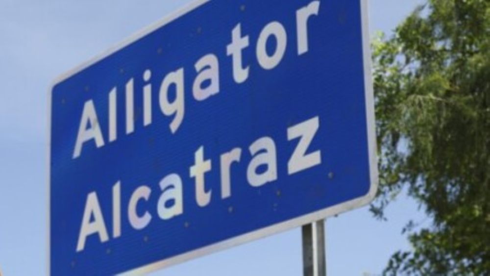 alligator-alcatraz.jpg