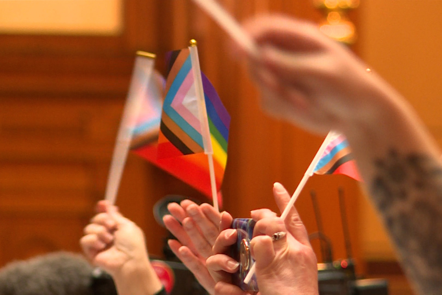 A law defining sex and gender would clamp down on birth records , schools and prisons