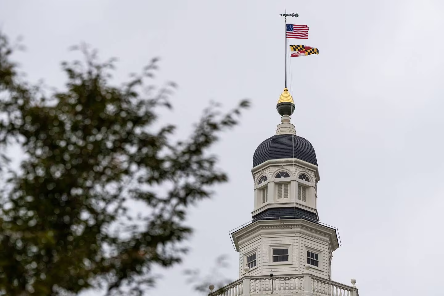 Maryland lawmakers will meet in August to discuss redistricting constitutional changes
