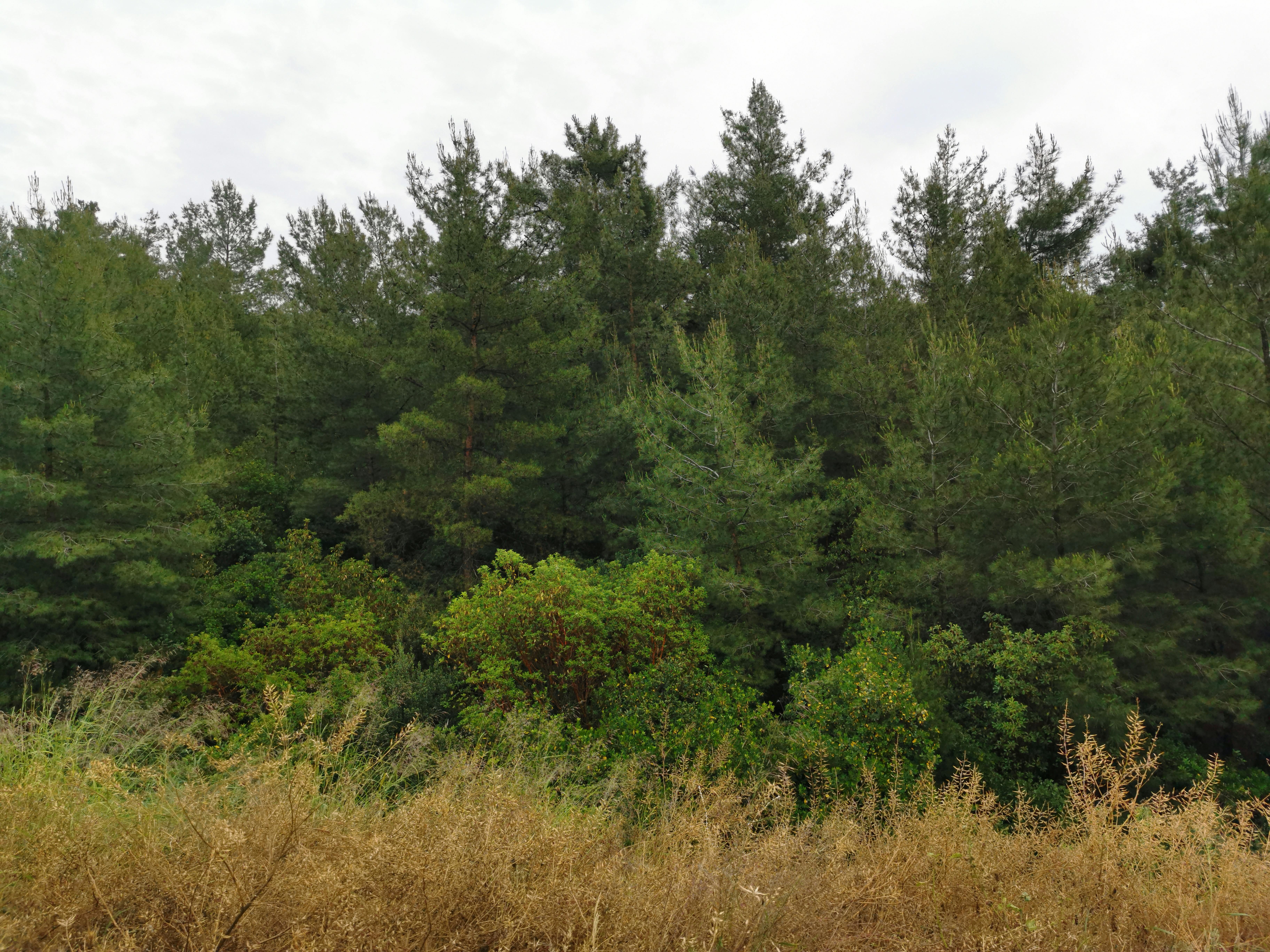 Biomimicry : Designing like Nature to Solve Human Problems