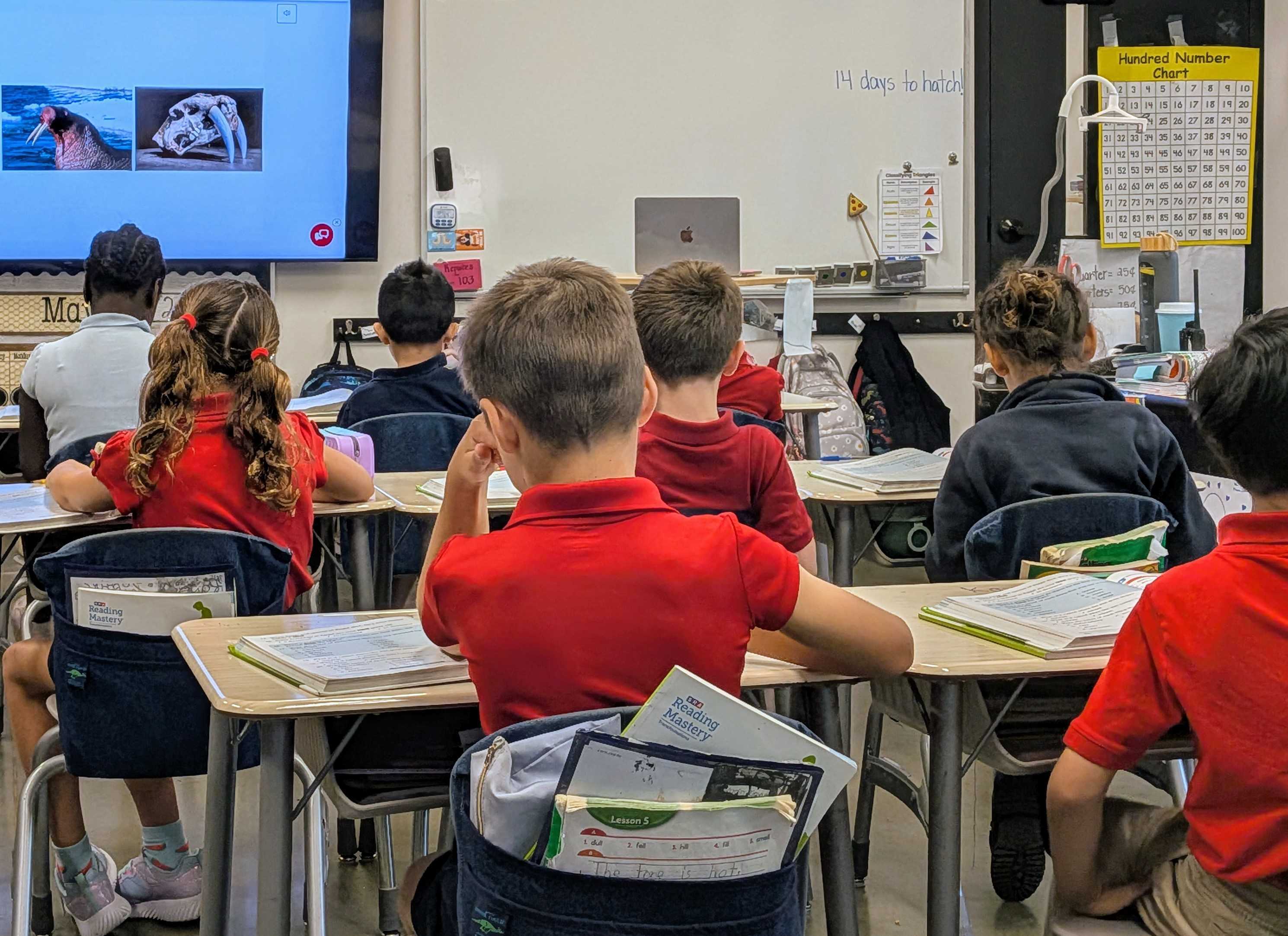 Visual representation of a report's findings on education