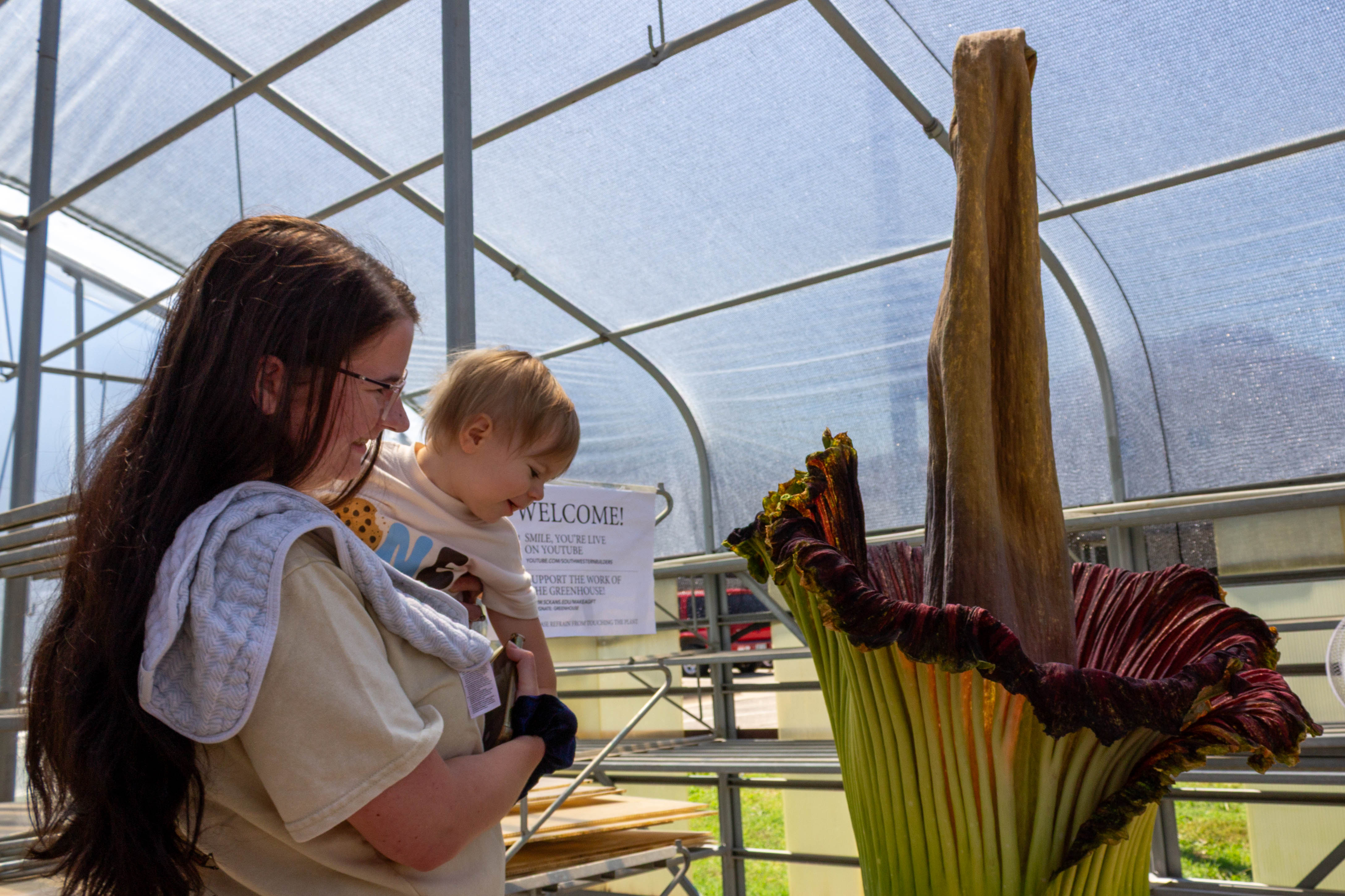 Blooming 'corpse flower' at a Kansas college draws hundreds hoping