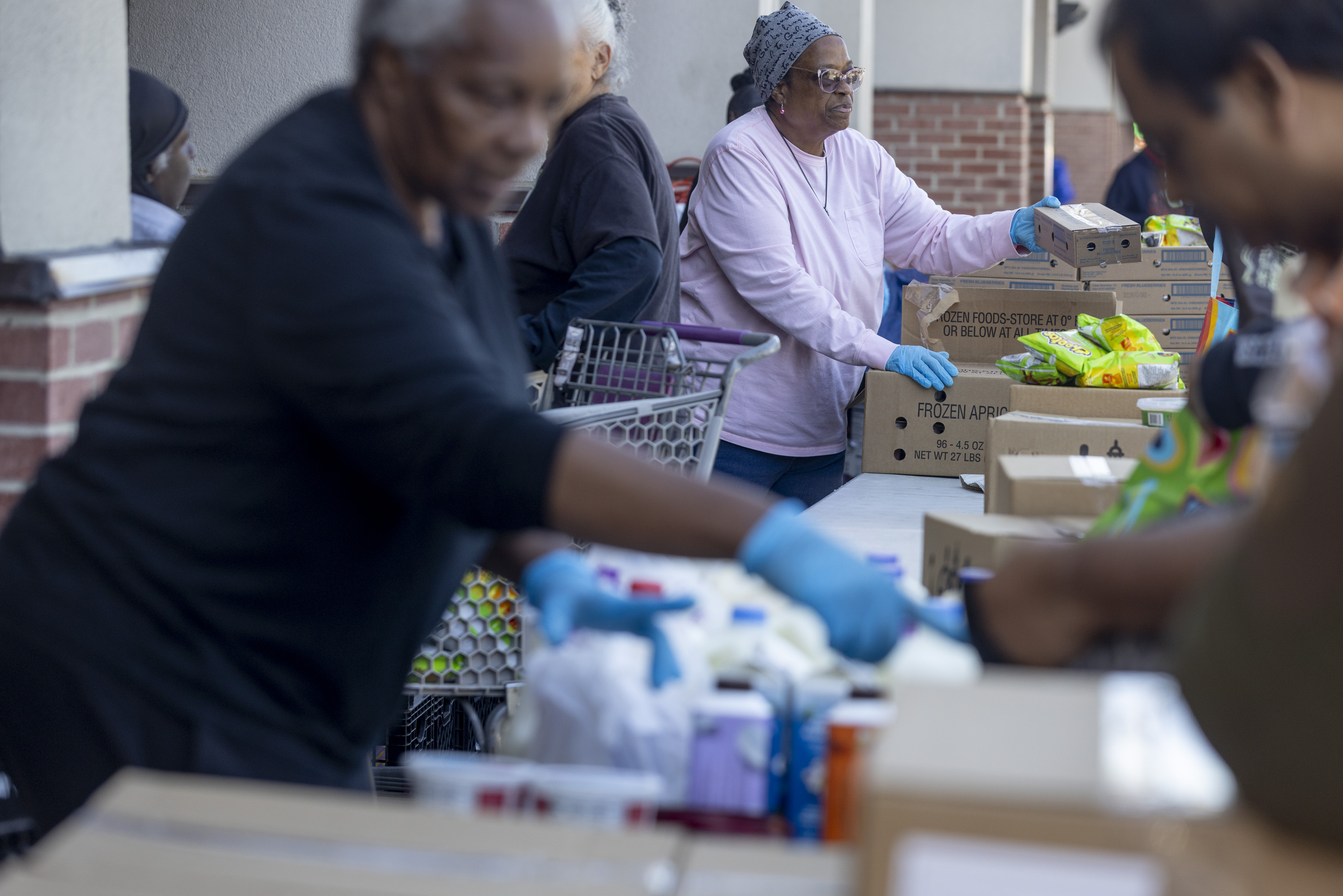 Pakistan's federal government announces school closures