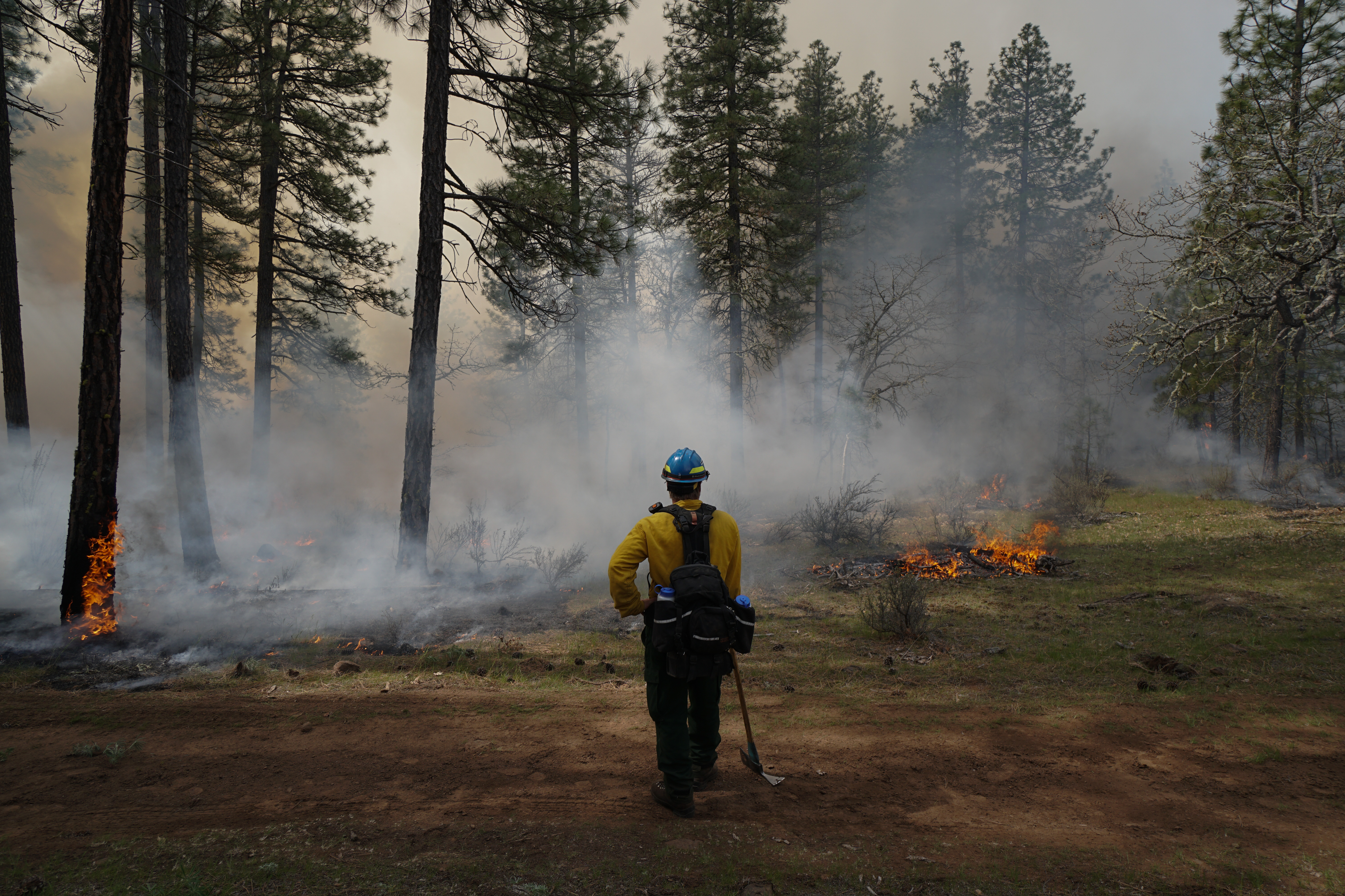 Image for New burn bans and Trump battle with immigration and DEI are impacting forest fires