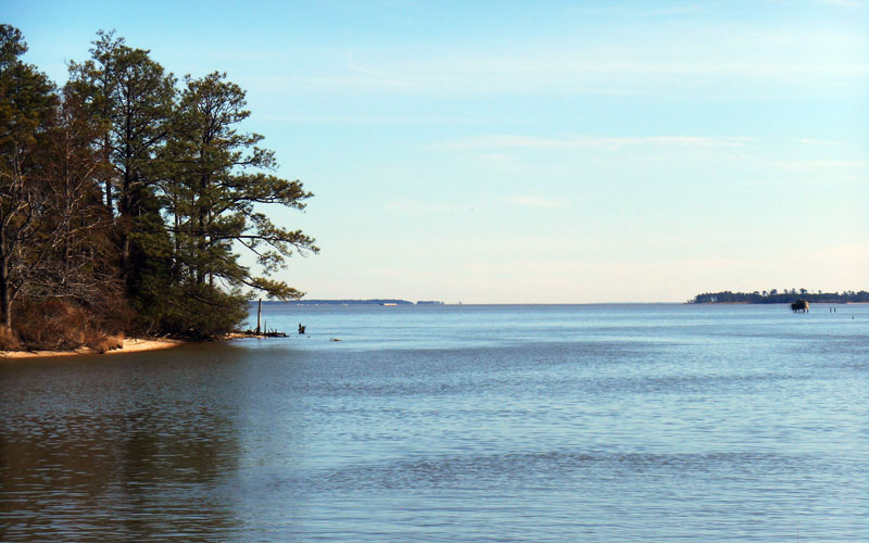 Lawsuit aims to stop further forever chemical pollution