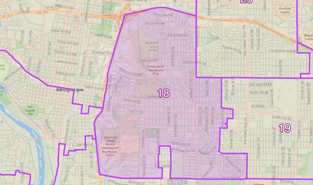 Four progressives vie to replace the longest-serving NM state rep - Vimarsana News