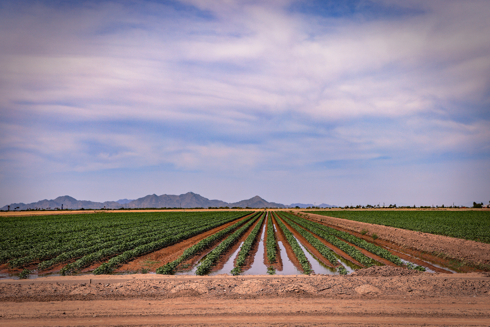 USDA pays Colorado River region farmers billions for losing crops, but not to use less water - Vimarsana News
