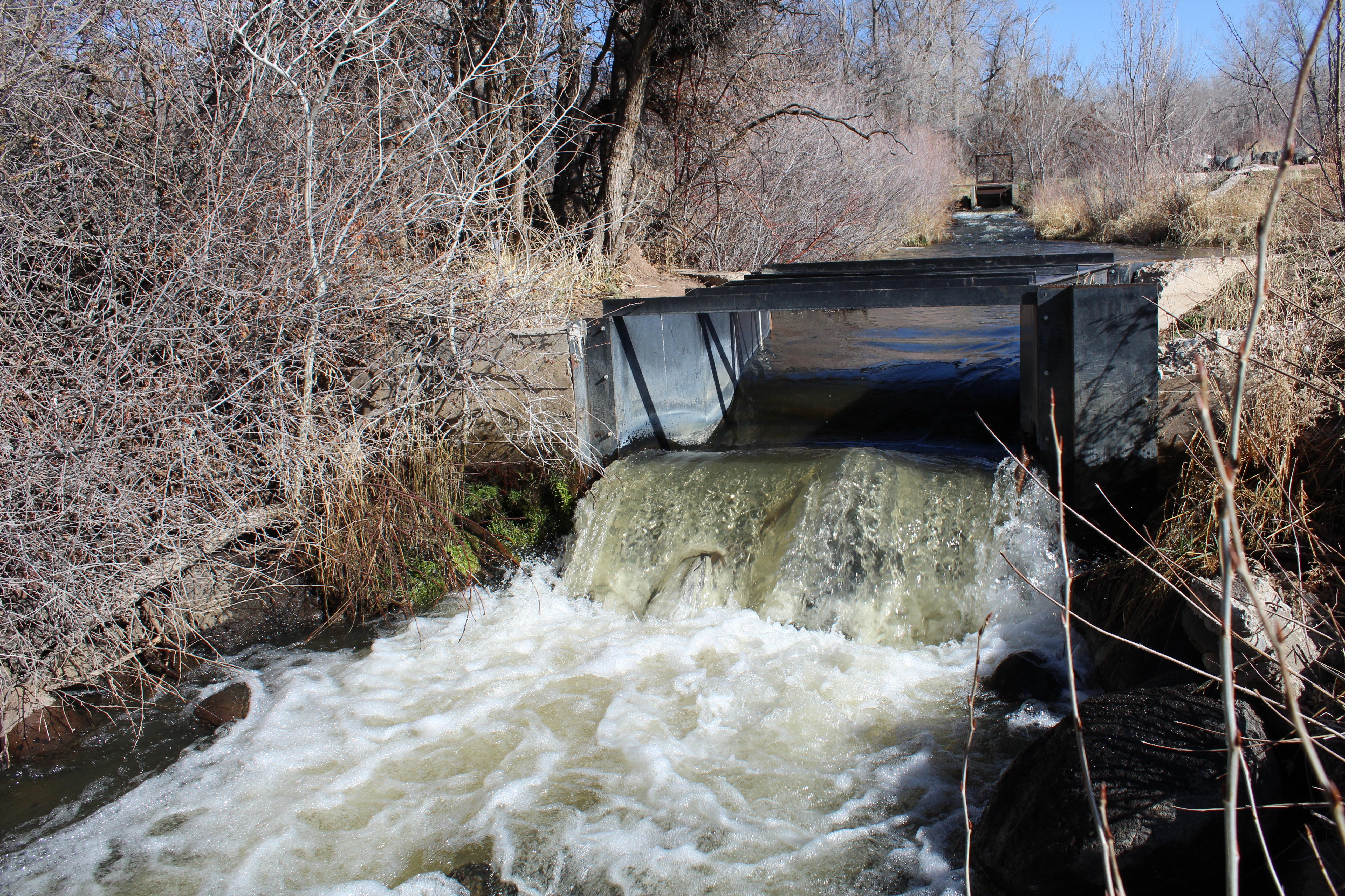 Colorado Is Examining Water Speculation, And Finding It's "All The Problems" In One - Vimarsana News
