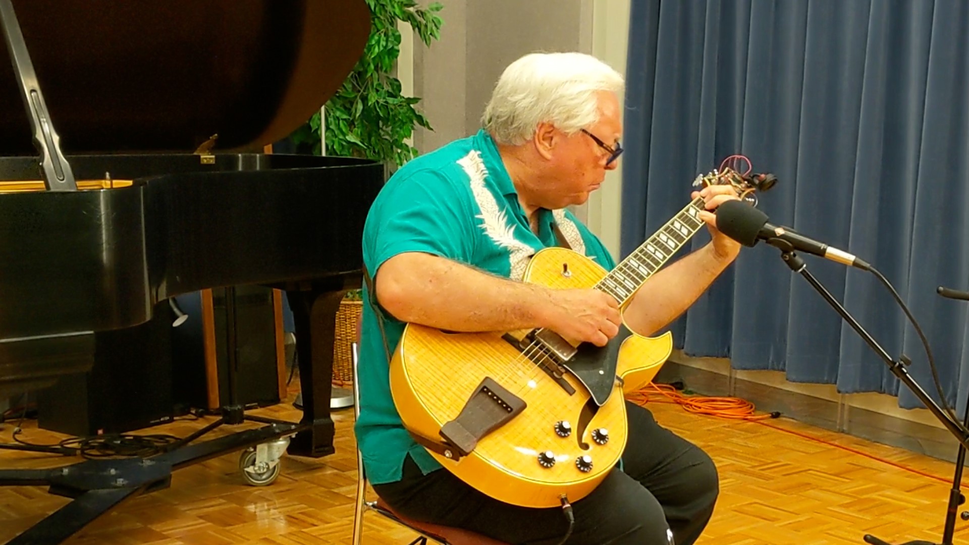 Jazz Guitar with Kansas City's Rod Fleeman - Vimarsana News