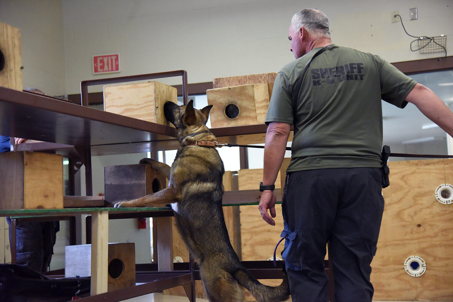 Legal marijuana puts drug-sniffing police dogs out of work in Missouri - Vimarsana News