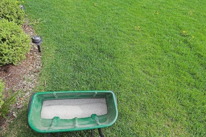 Hernando County enacts new lawn fertilizer rules in advance of possible state preemptions - Vimarsana News