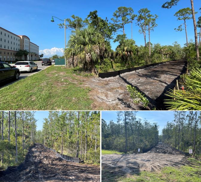 New FGCU boardwalk will connect South Village to main campus; preliminary clearing work started - Vimarsana News