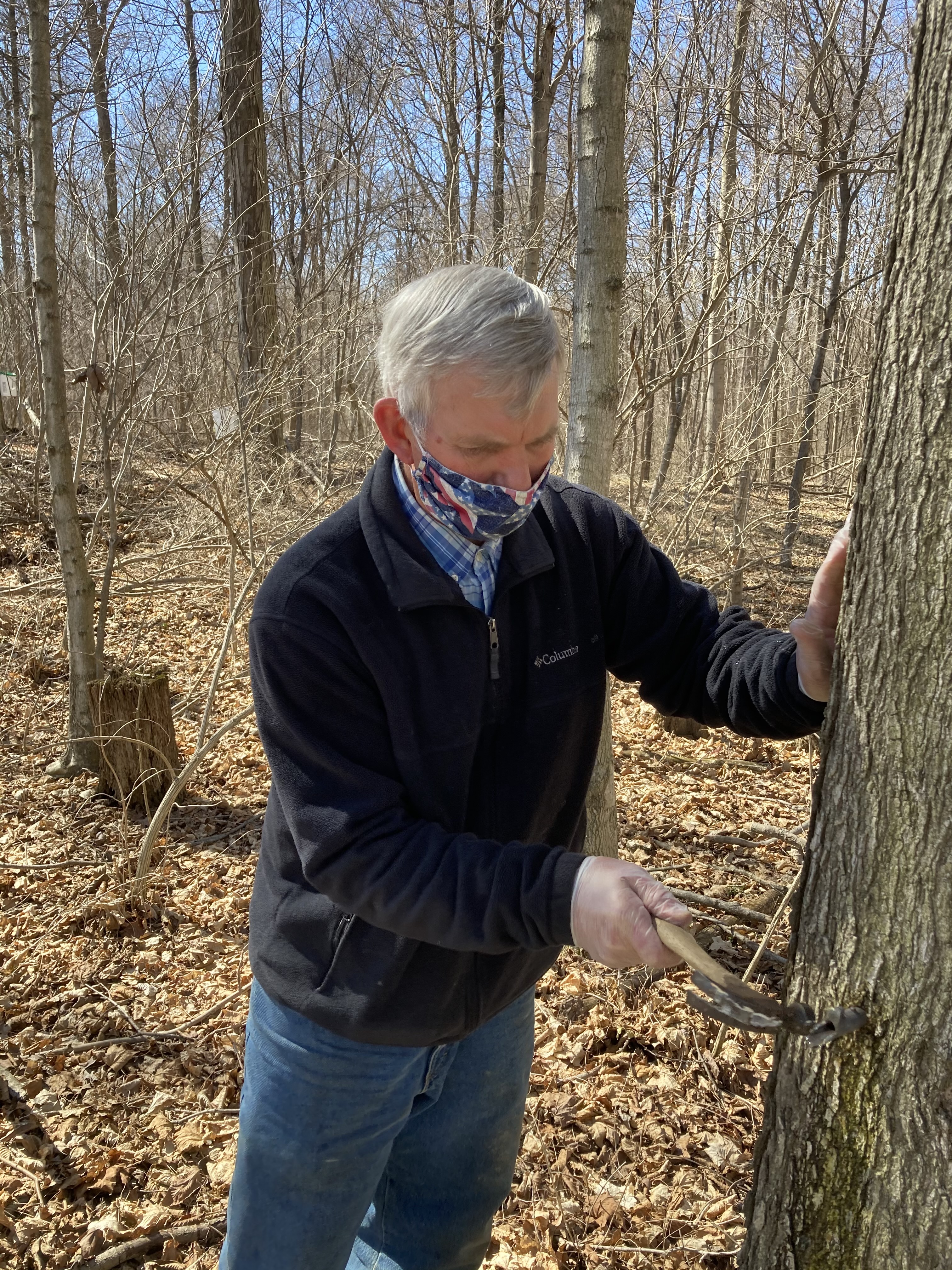 COVID-19 Stopped Everything, But Clark County's Maple Syrup Still Flows - Vimarsana News