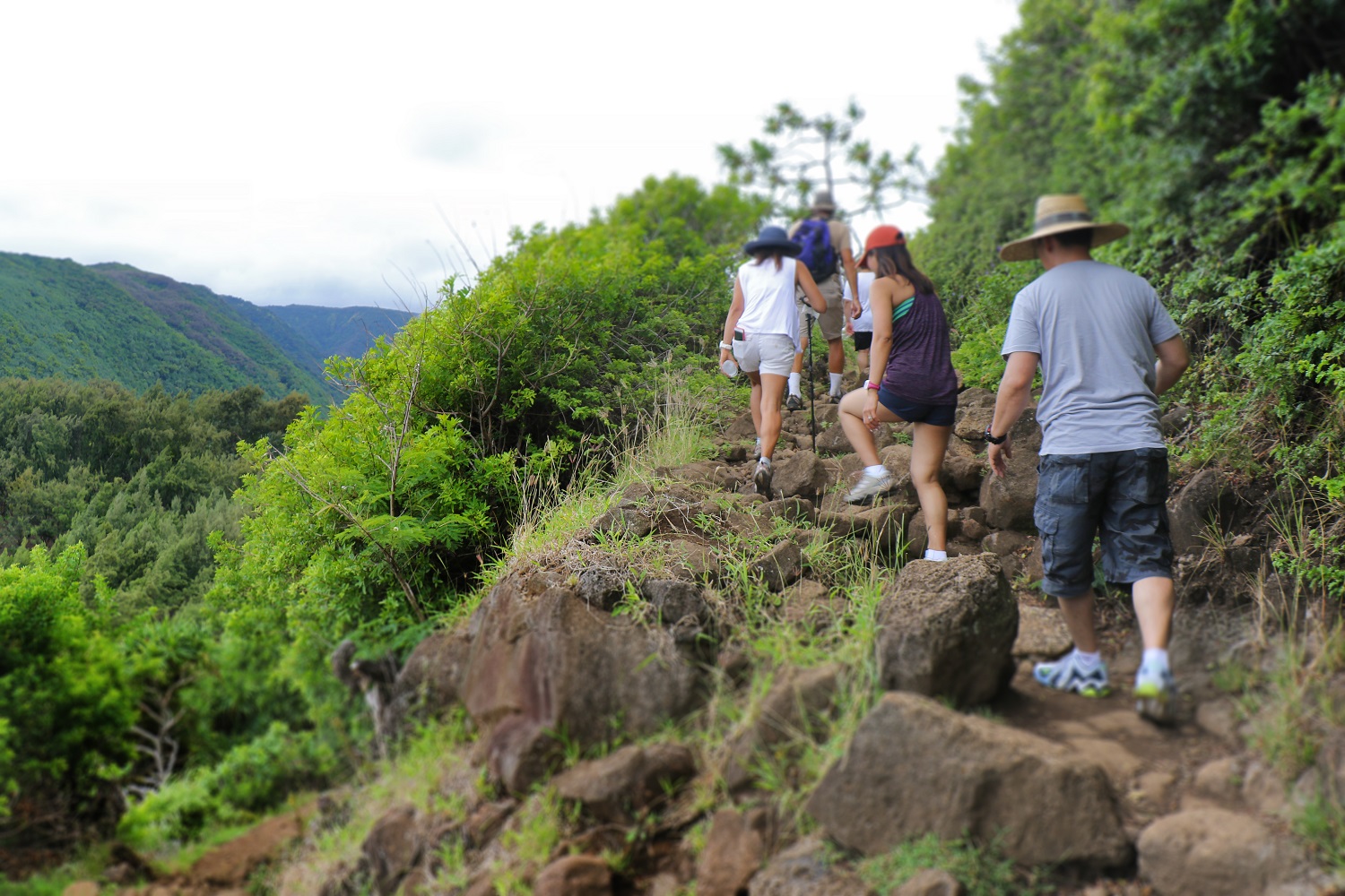 Pololu Valley Trail Steward Program Hopes to Manage Visitor Impact - Vimarsana News