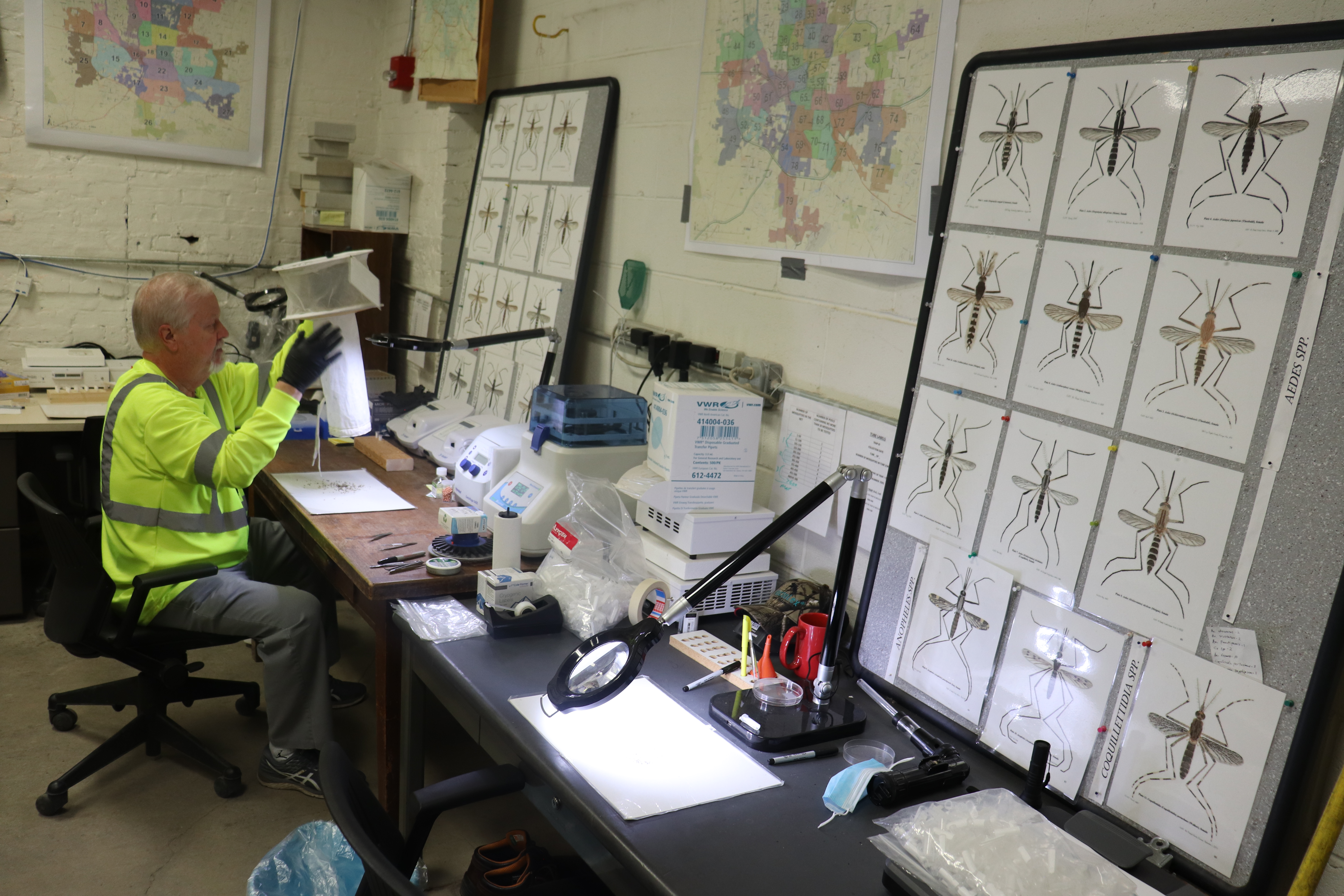 Climate change upping the ante in fight against disease-carrying mosquitoes - Vimarsana News