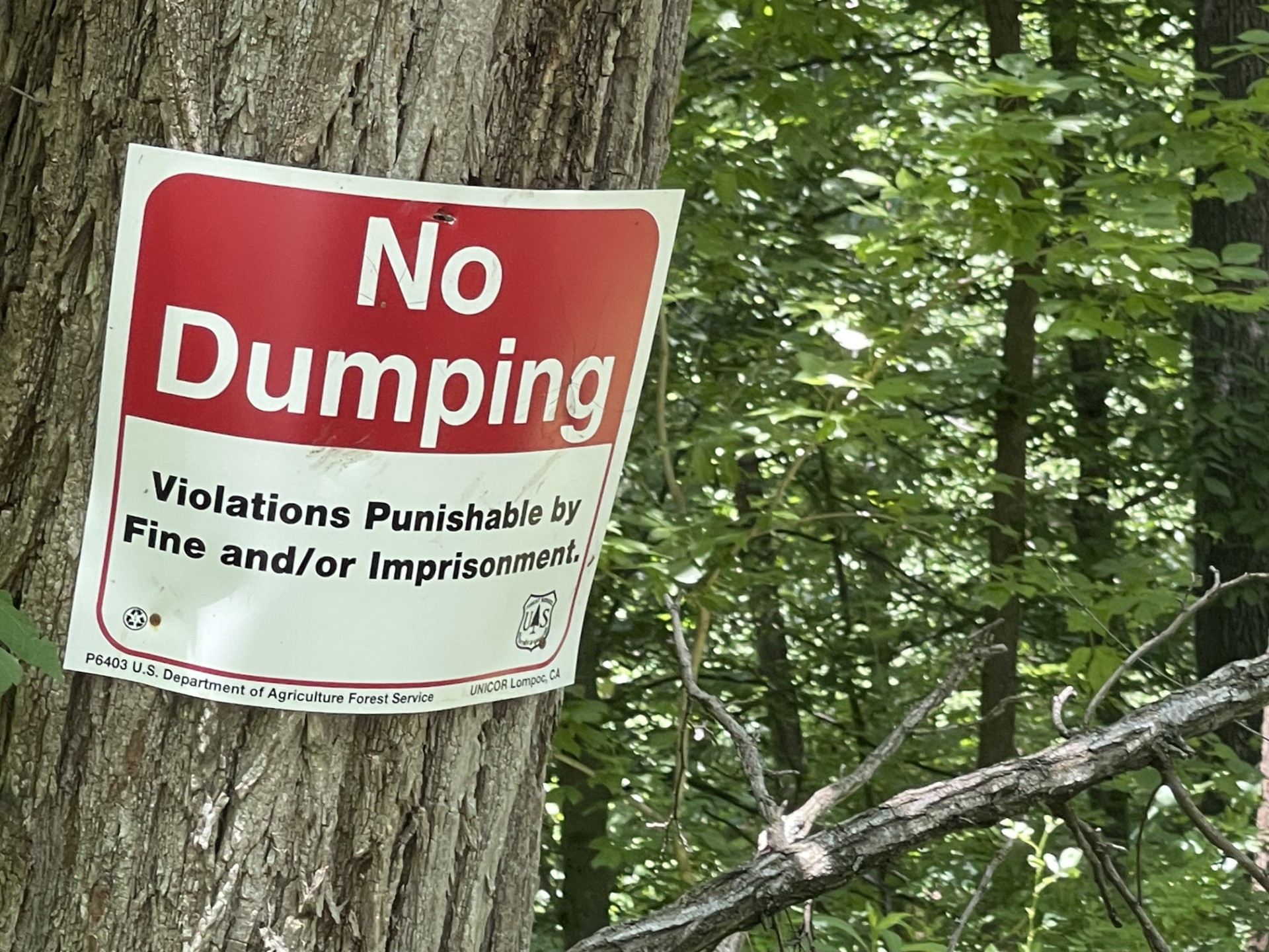Maintaining the Beauty of Southern Illinois, One Trash Blast at a Time - Vimarsana News