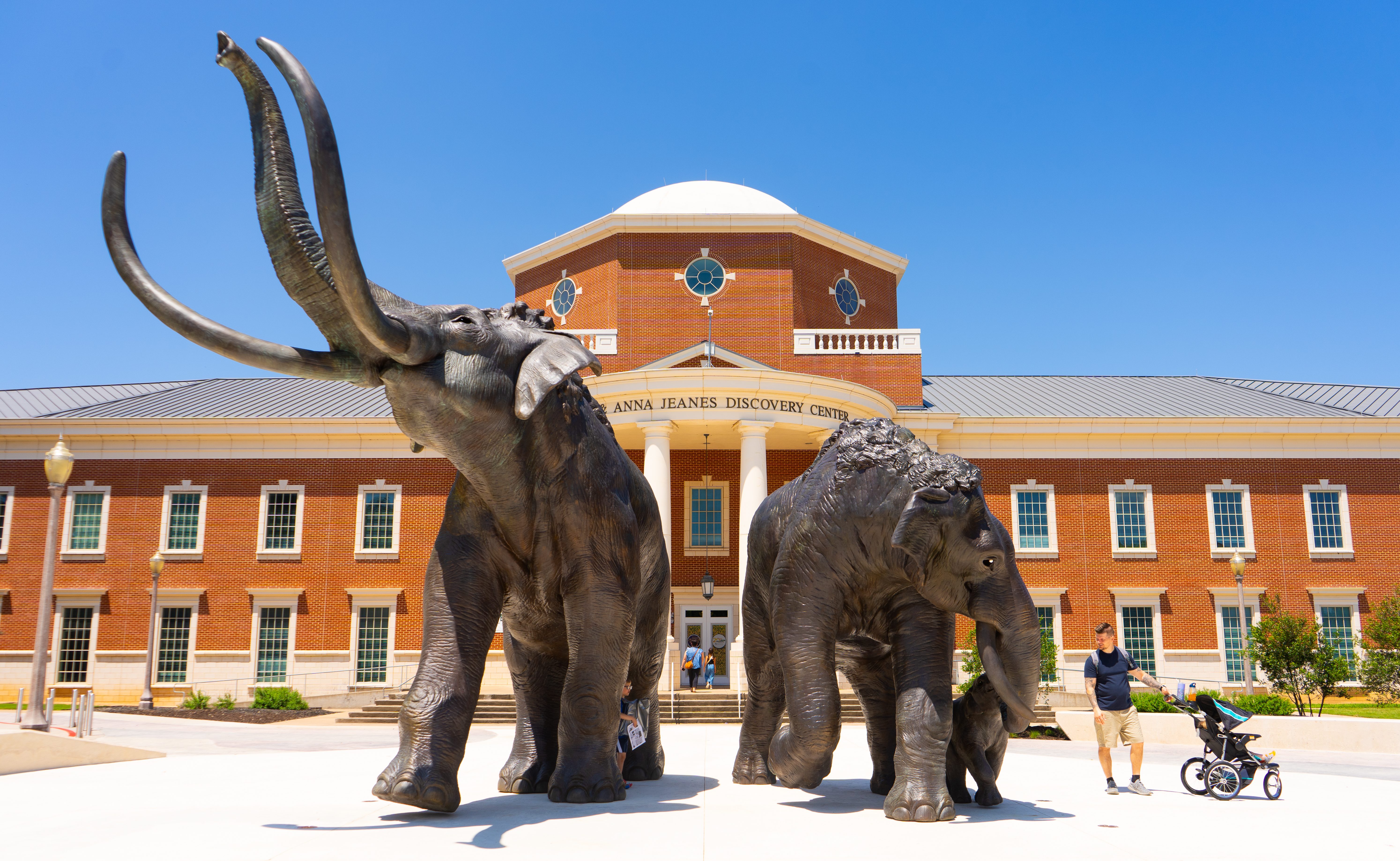 Mayborn Museum celebrates 20th year anniversary with unveiling of life-size mammoth sculptures - Vimarsana News