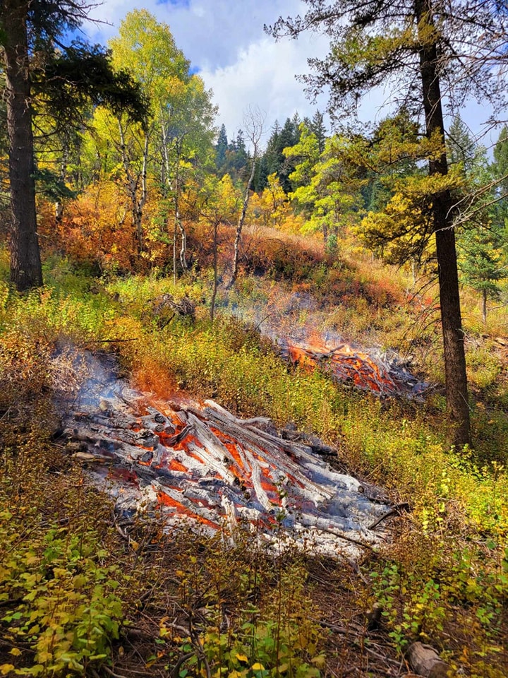 Prescribed burns to continue in Uintas - Vimarsana News