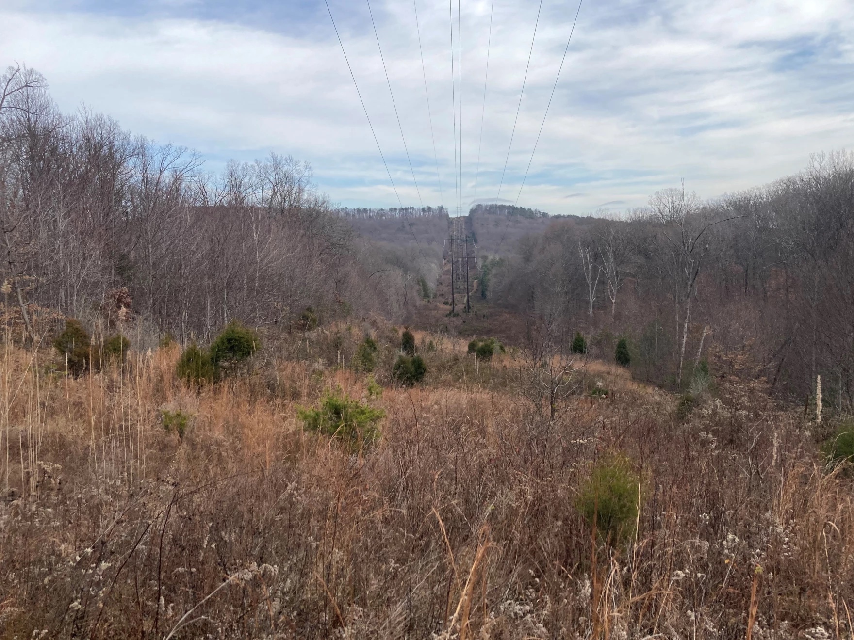 Louisville Gas & Electric wins right to seize land for gas pipeline in Bernheim Forest - Vimarsana News