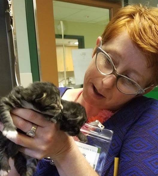Meet Emily Wood: Broward County's New Director Of Animal Care And Adoption - Vimarsana News