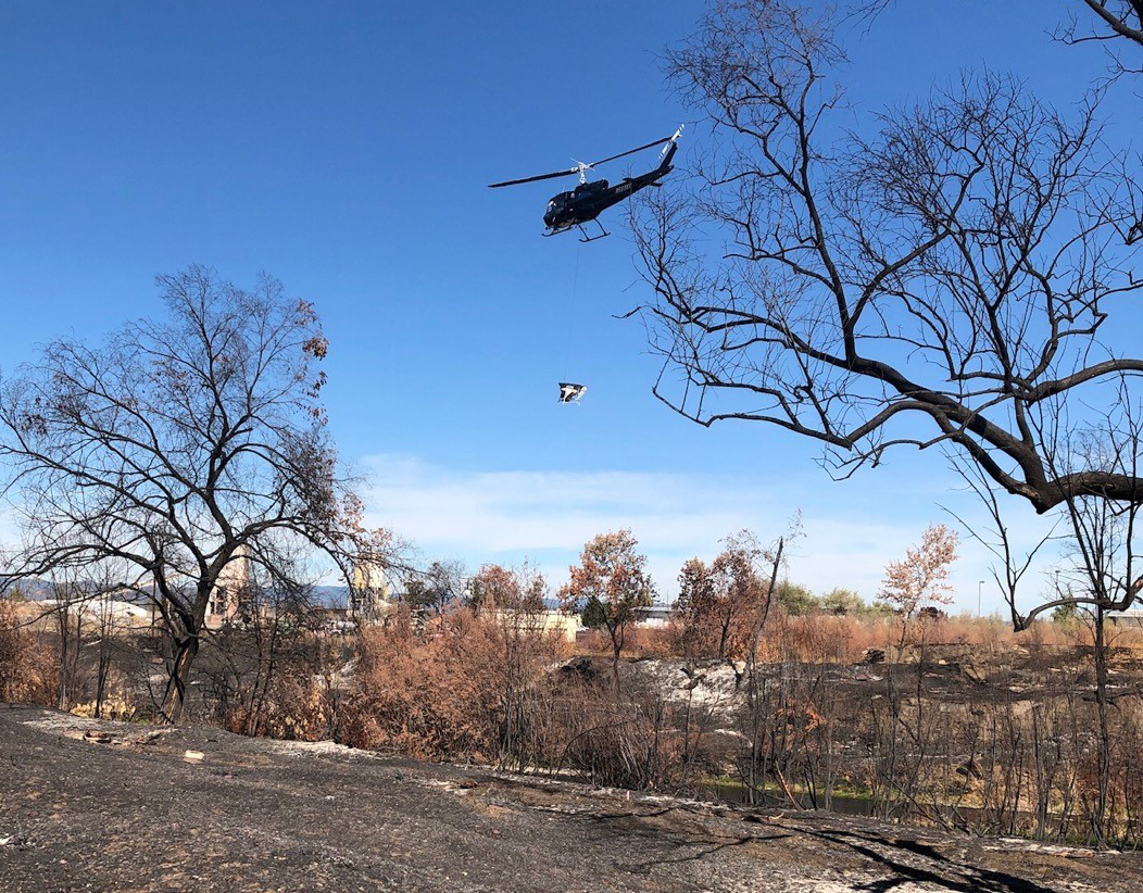 Fri 9 AM | Plans To Restore The Bear Creek Greenway Post-Fire Take Shape - Vimarsana News