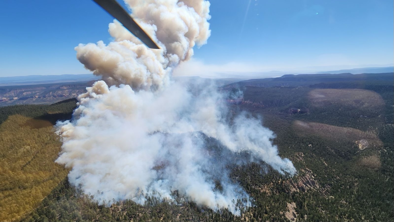 Indios Wildfire North of Coyote - Vimarsana News