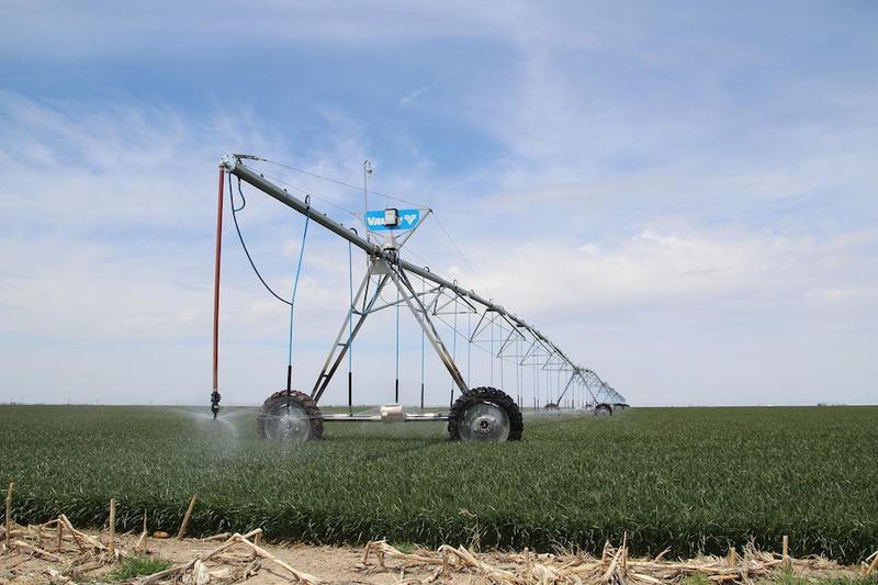 Western Kansas Farmers Begin To See Better Profits With Less Irrigation - Vimarsana News
