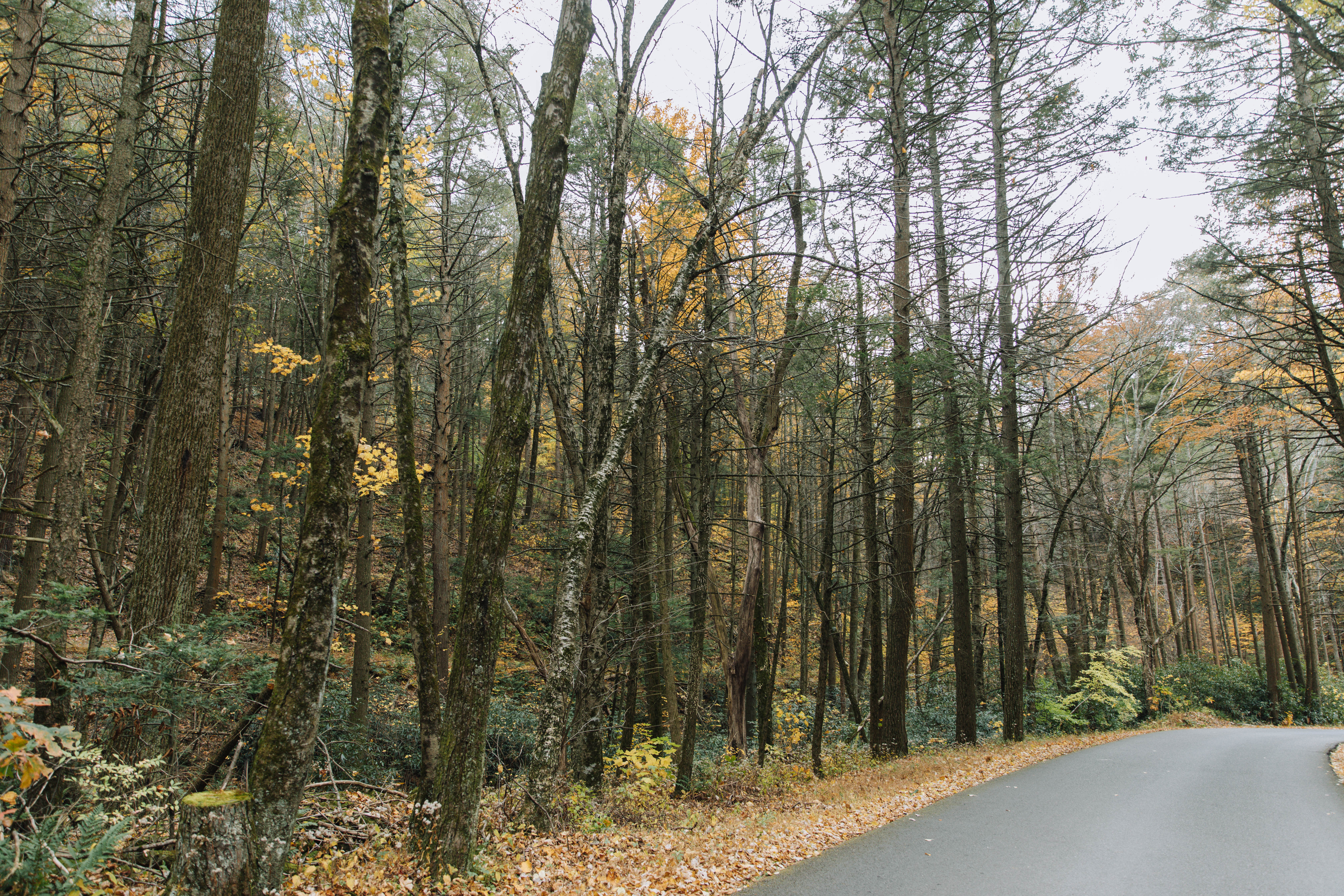 A budget boost to payments for state-owned land will benefit rural Pa. counties - Vimarsana News