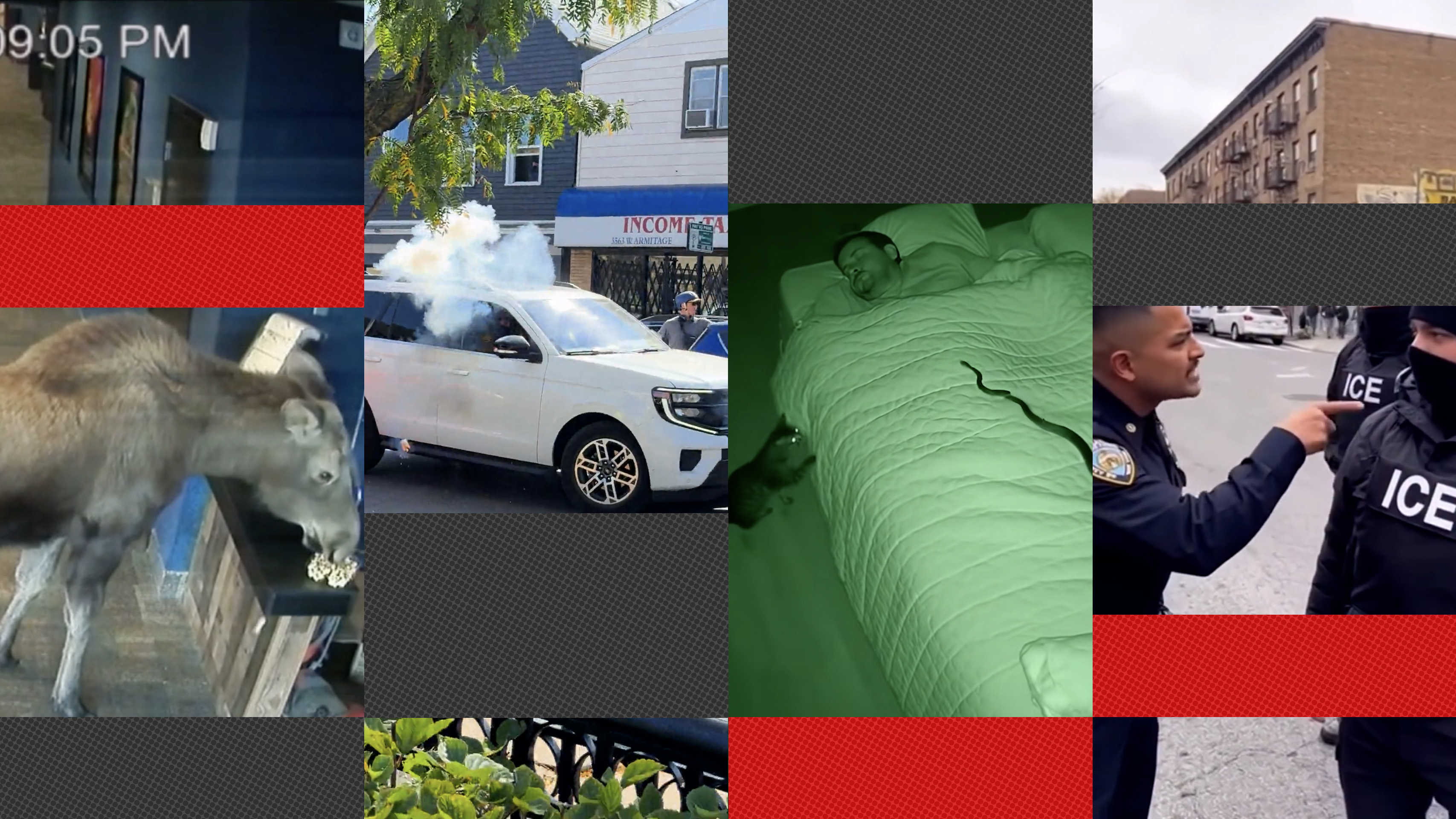 A collage of vertical videos showing AI-generated and real clips in a quiz interface