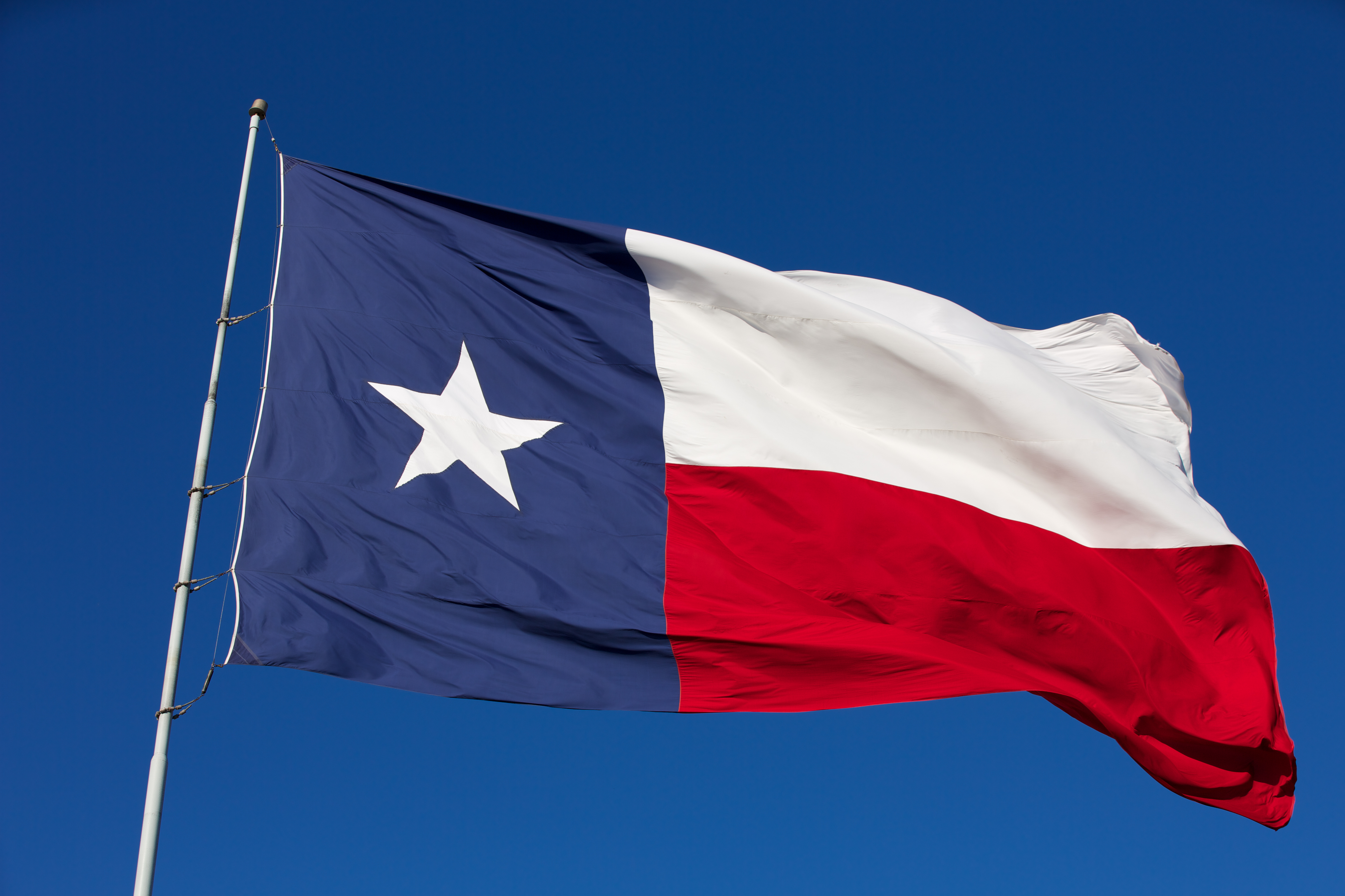 The Best Stories Of 2020 From All Over Texas - Vimarsana News