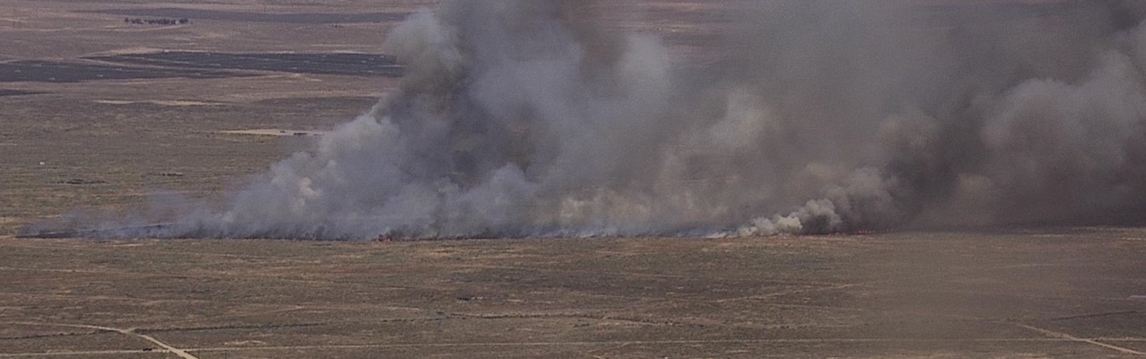 Wildfire chars 750 acres of land on the Central Coast - Vimarsana News