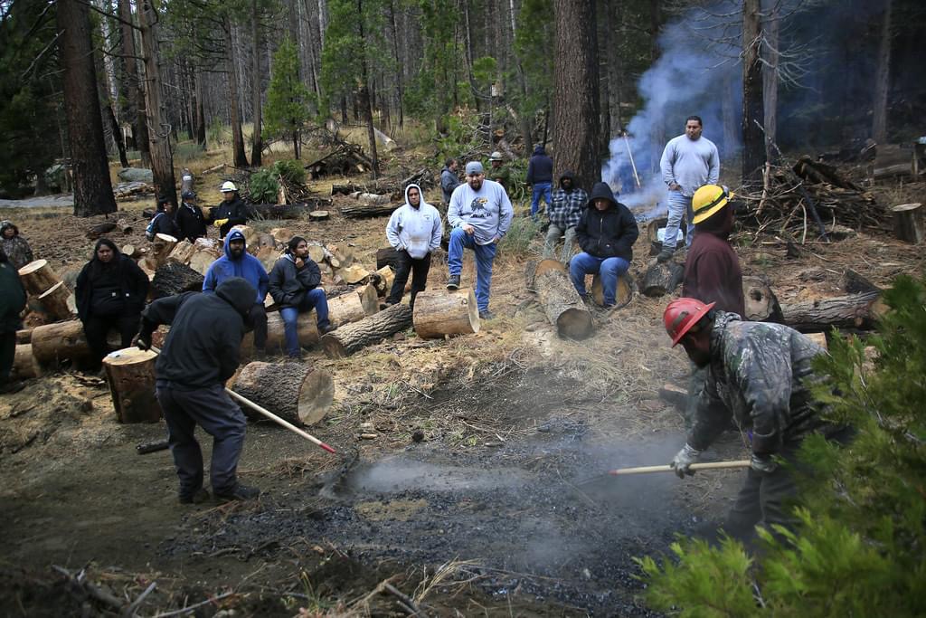 New study estimates 'hard to comprehend' historical scale of cultural burning among California's Karuk Tribe - Vimarsana News