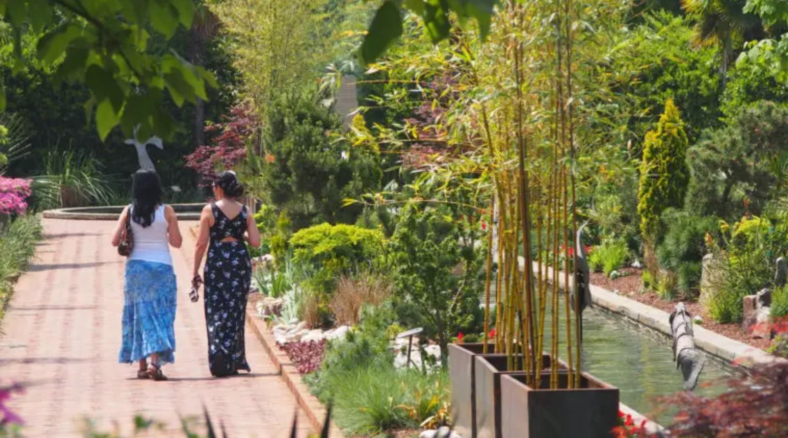 Mother's Day Weekend Events Include Free Garden Admission, A Historic Neighborhood Bike Ride And Dance Lessons - Vimarsana News