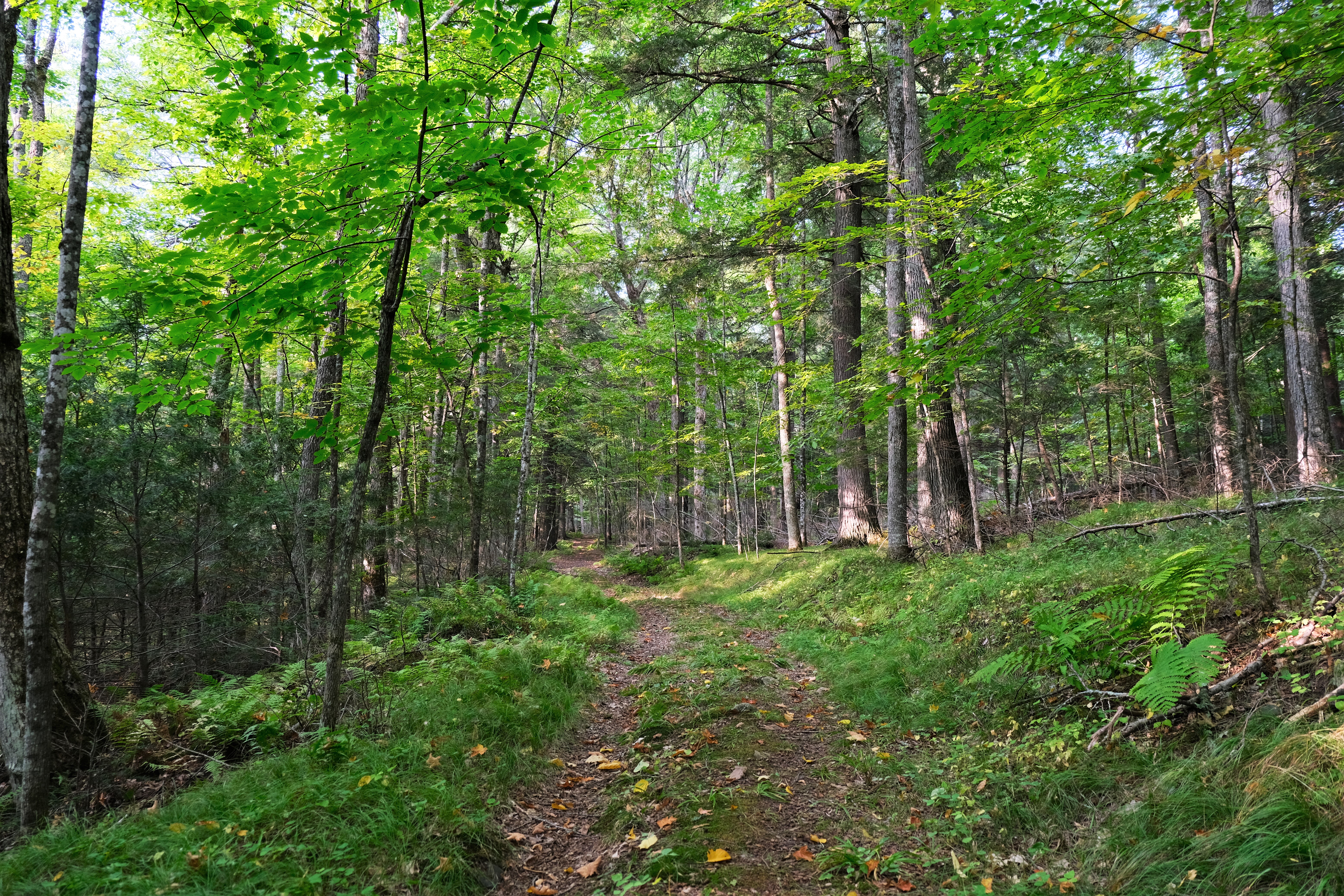 All Things Outdoors: Exploring new places - Vimarsana News