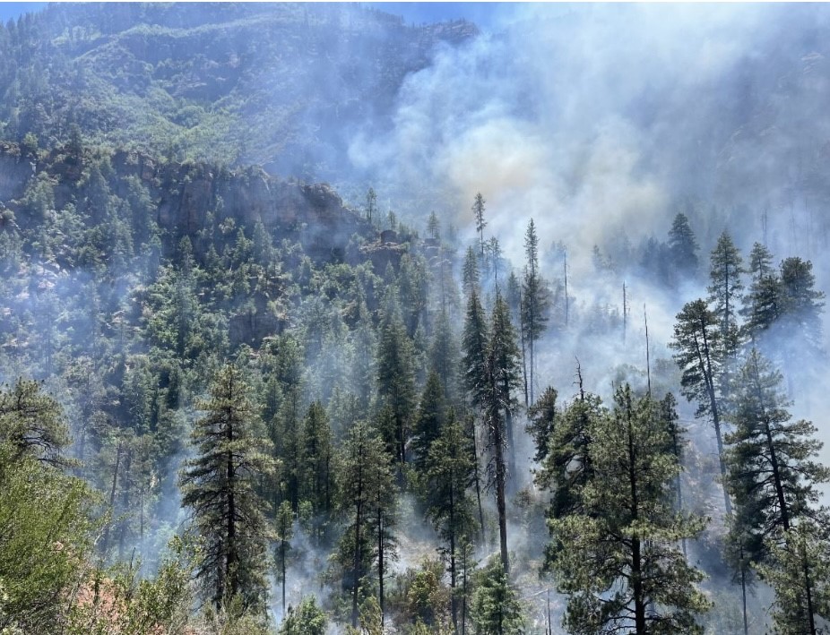 Wildfire near Sedona grows, 'creeping' at low speed - Vimarsana News