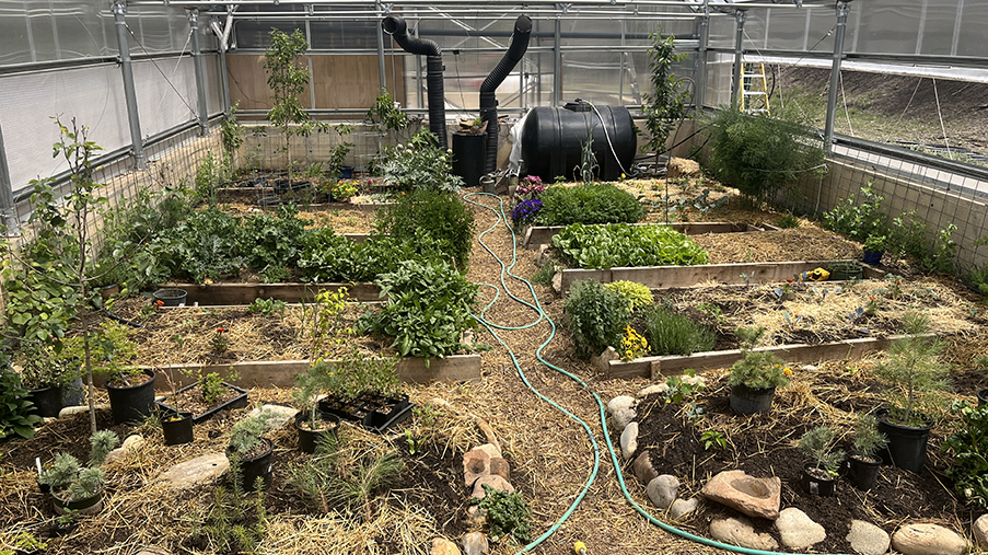 Garden Guys: The "Sweet Spot" - Vimarsana News