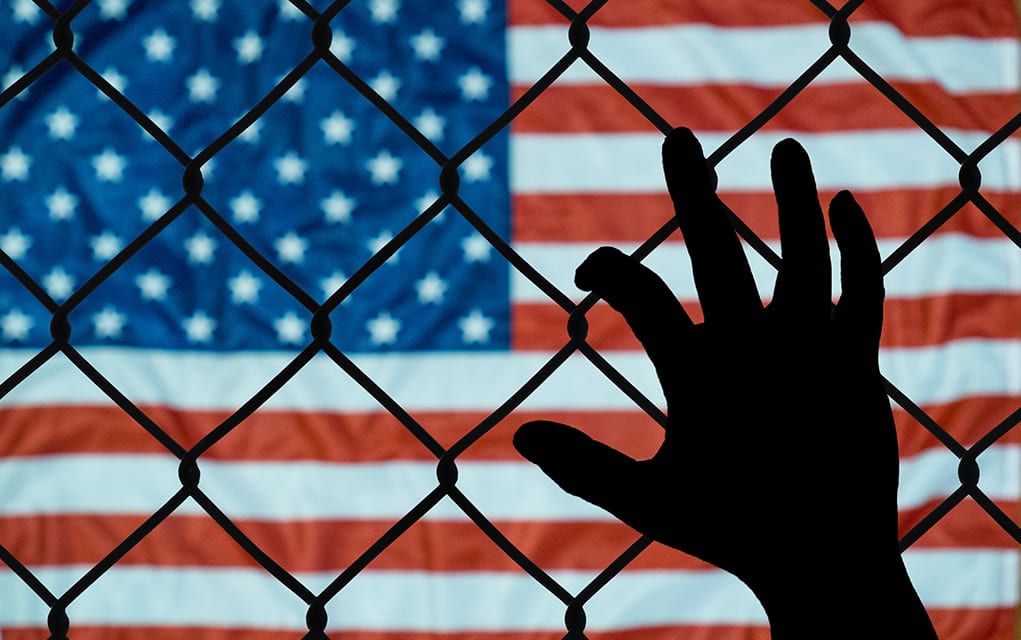Immigration Executive Orders Will Take Time to Implement - Vimarsana News