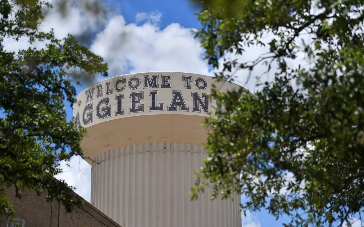 Texas A&M Investigating 'Large Scale' Cheating Case As Universities See More Academic Misconduct - Vimarsana News