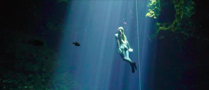 To 'The Fellowship of the Springs,' Florida Is Selling Out An Environmental Treasure - Vimarsana News