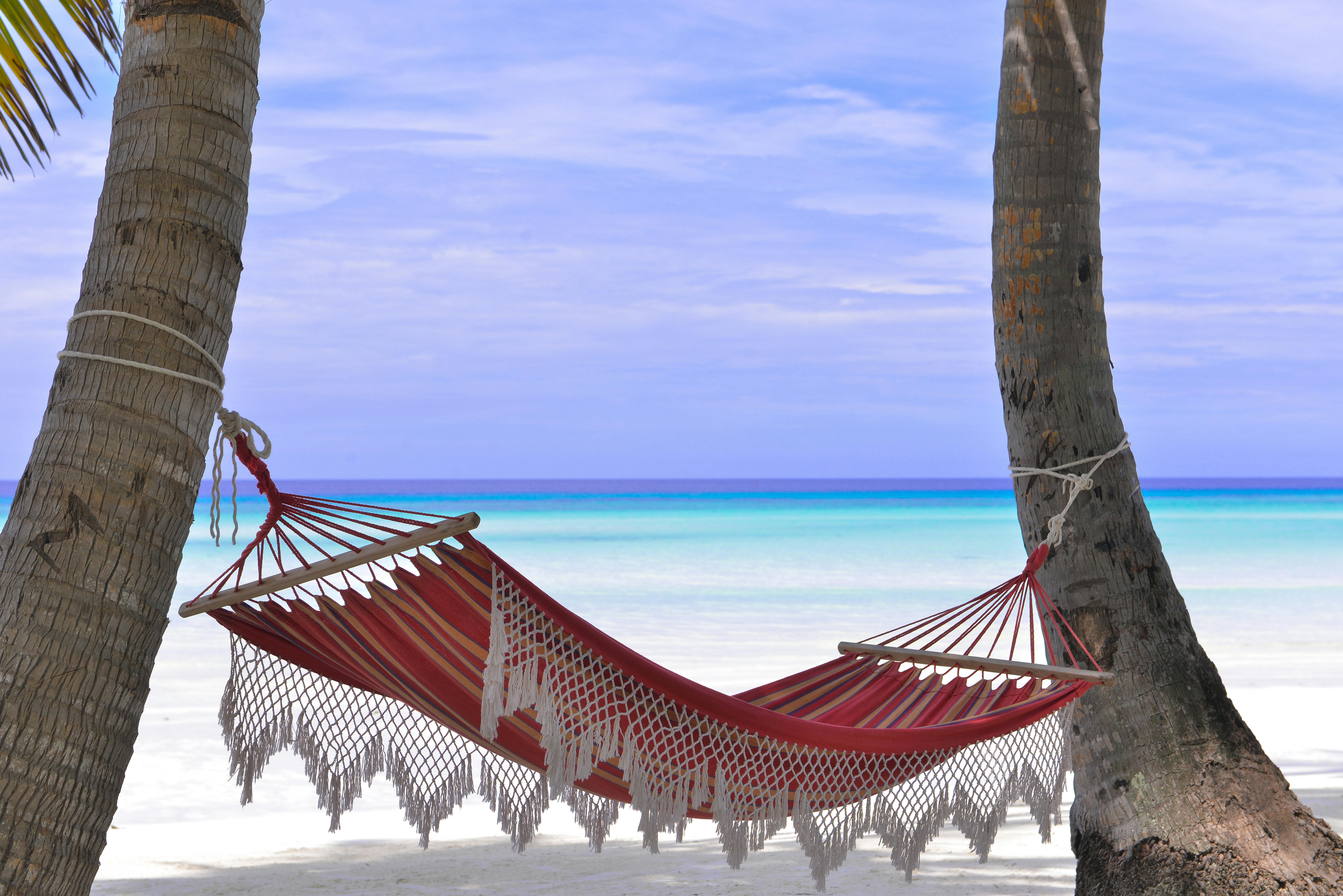 Listen tonight: A little too much vacation - Vimarsana News