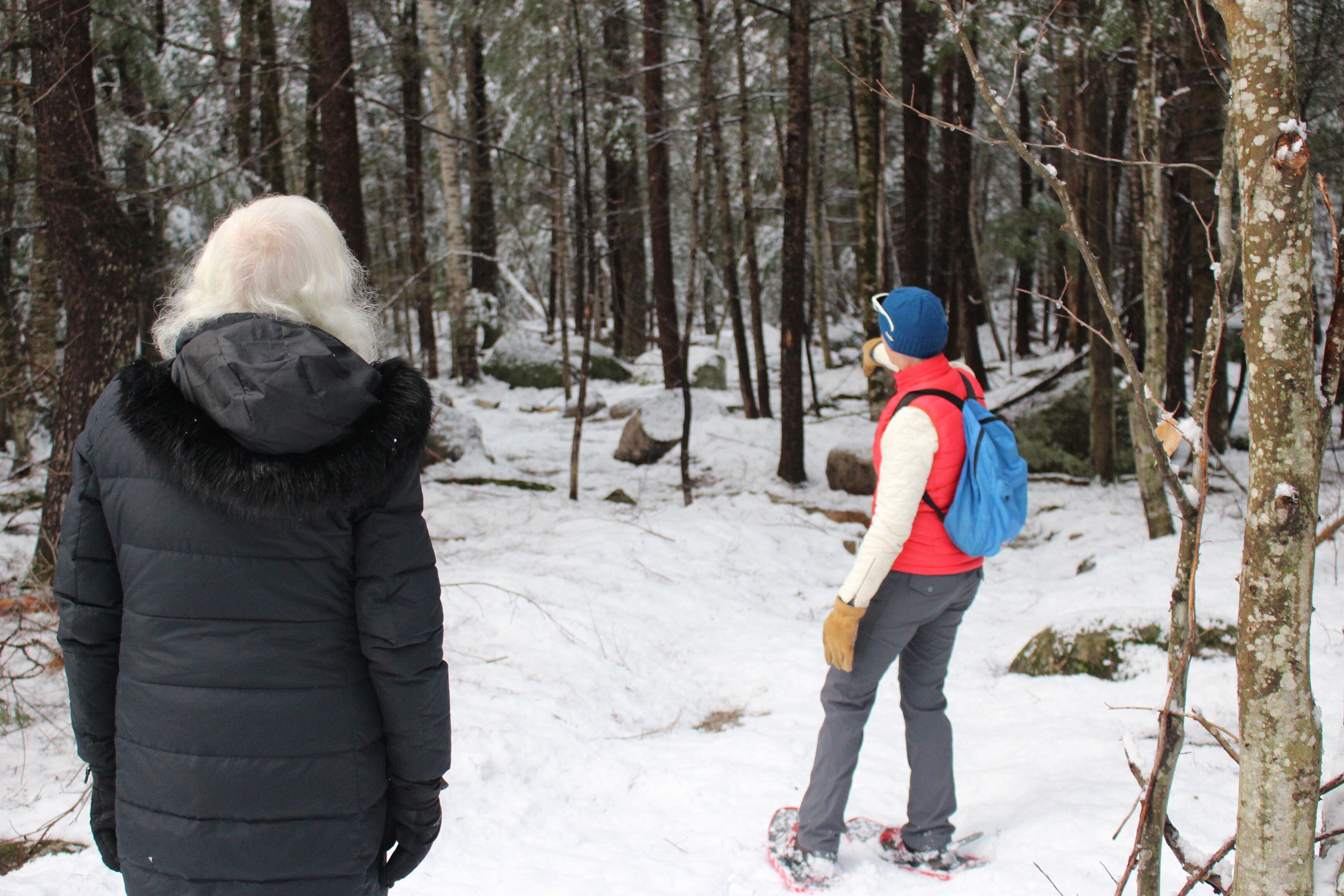 Warm weather and rain bring tough snow season for NH skiers, snowshoers and others - Vimarsana News