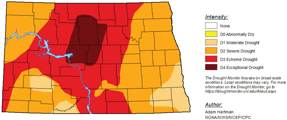 State Drought Forecast ~ Daughter Memorializes Dad with Song ~ Cover Crops - Vimarsana News
