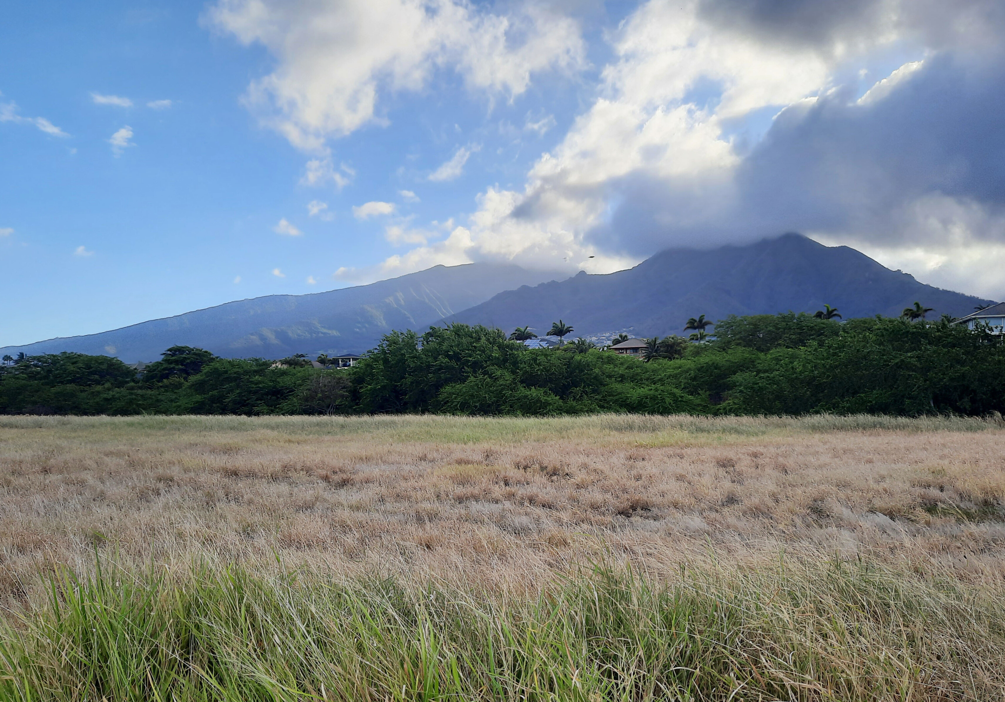 Maui County donates Kahului lots for affordable housing development - Vimarsana News