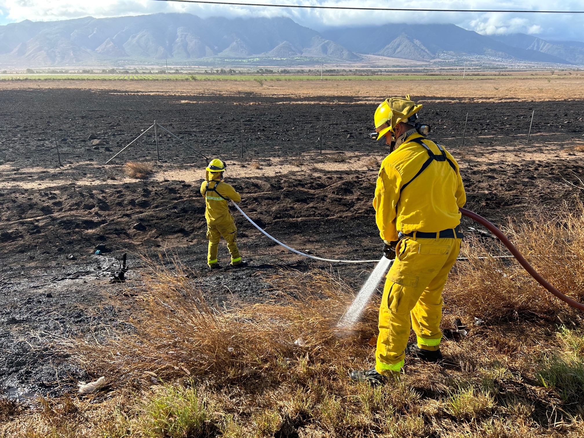 Officials urge public to reduce risks during wildfire season - Vimarsana News