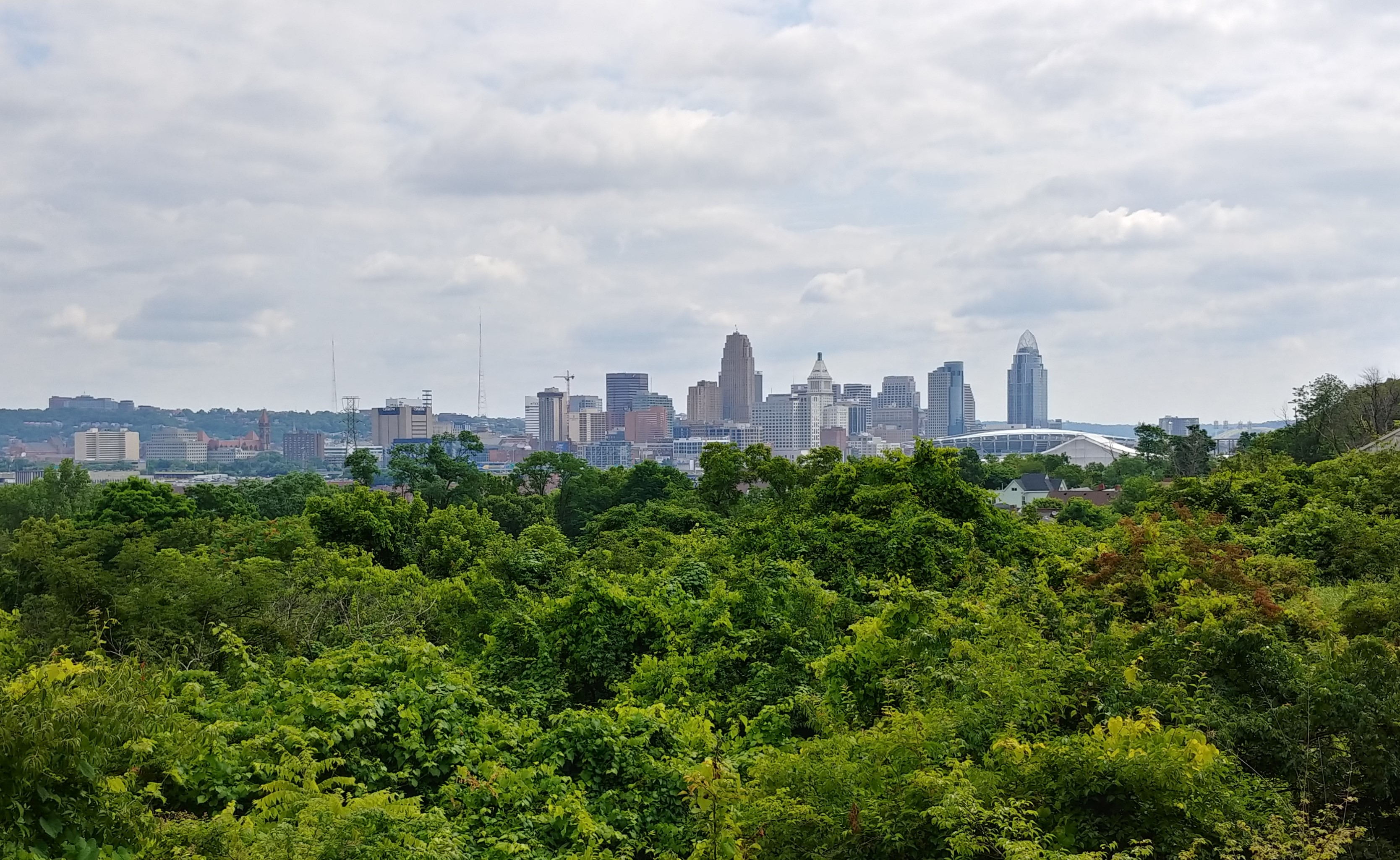 Cincinnati wants to bridge gaps between neighborhood life expectancies - Vimarsana News