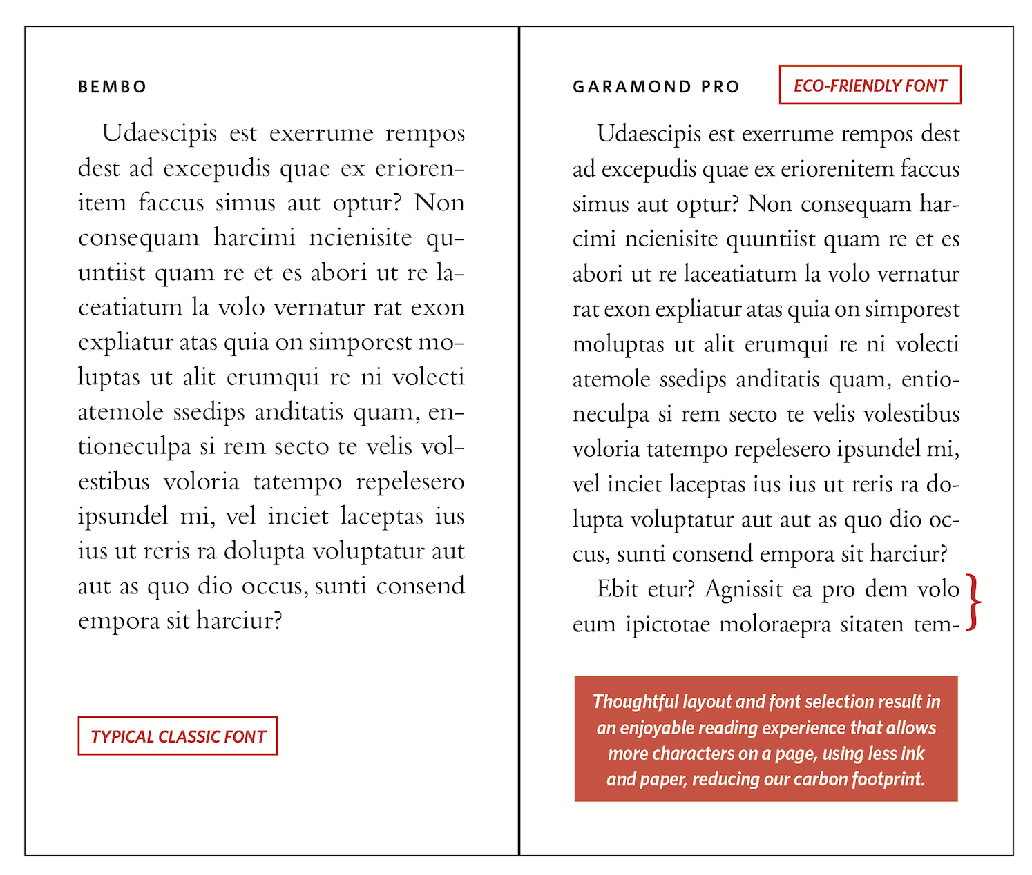 Paper books vs. e-readers: What's better for the climate? : NPR - Vimarsana News
