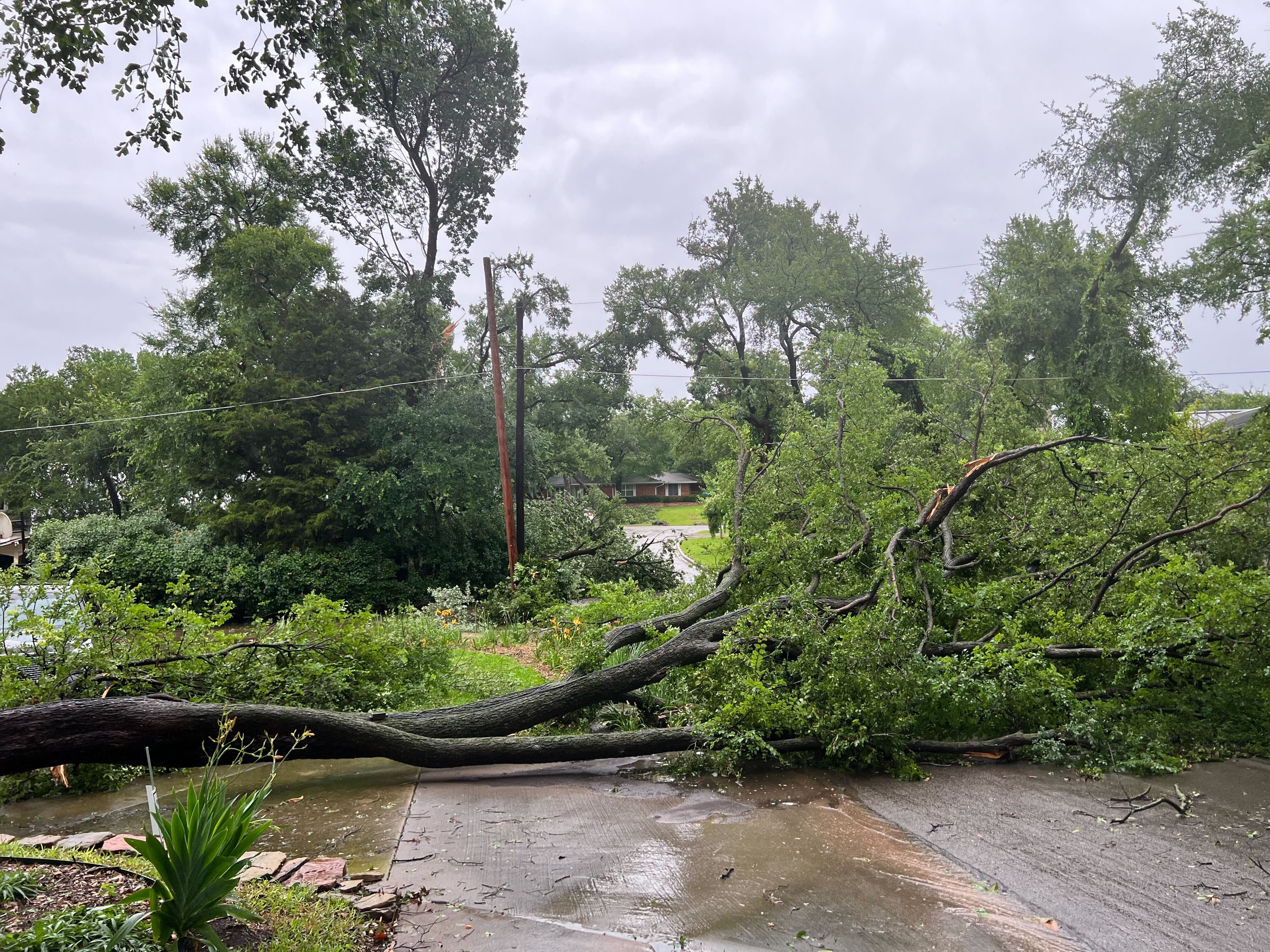 Thousands still without power in North Texas - Vimarsana News