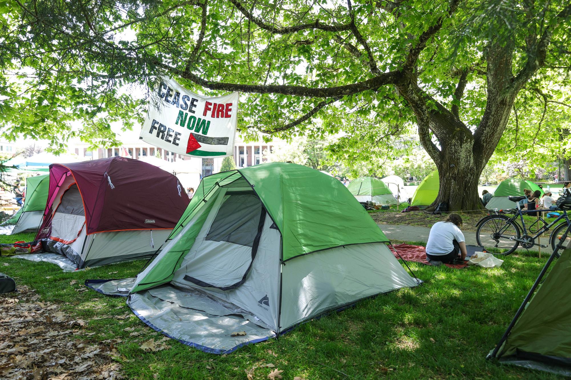OSU gives student encampment a deadline to disperse, warns of "criminal statutes" - Vimarsana News