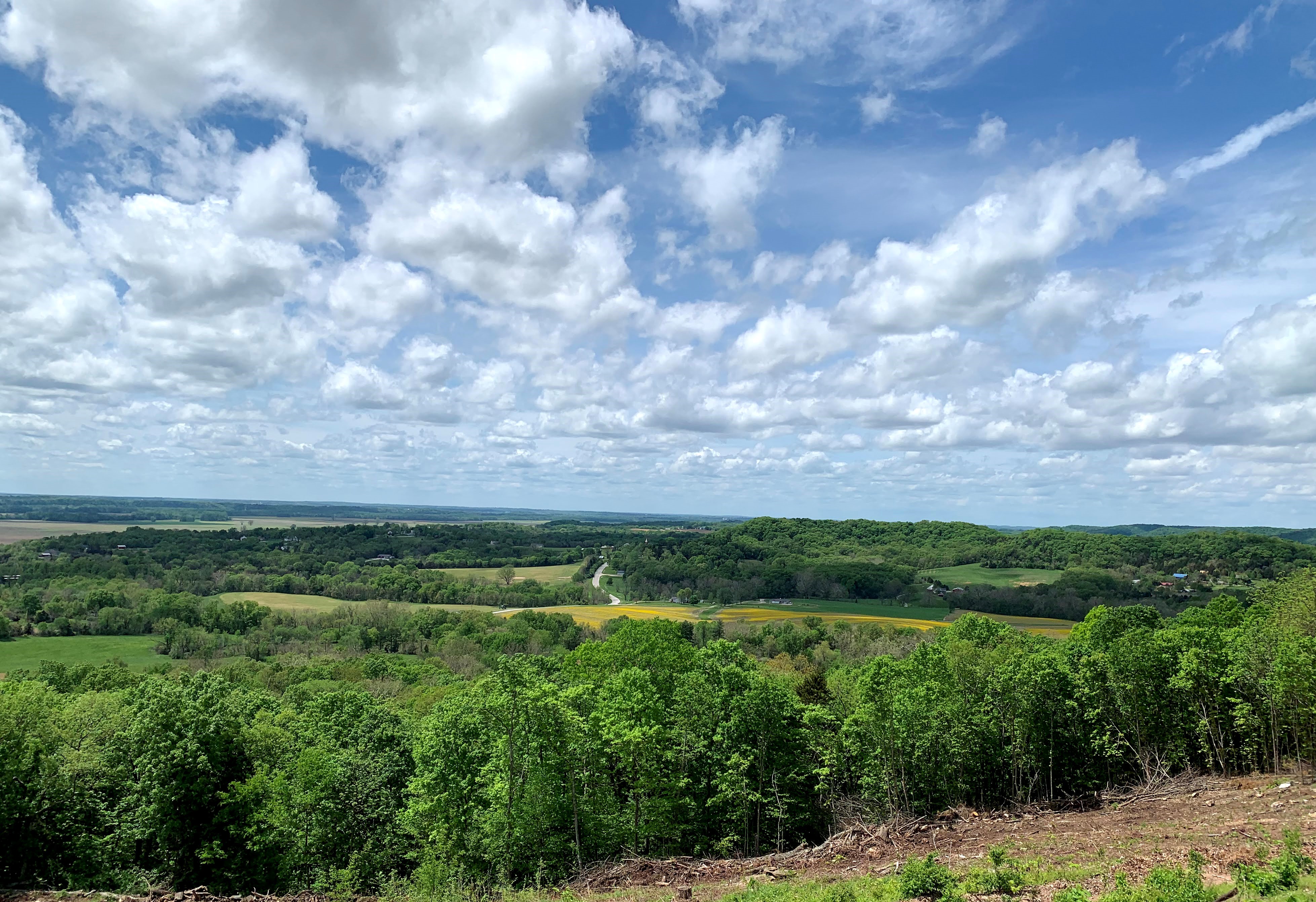 Big Dreams For Missouri's Augusta Wine Region From Investor With Local Ties - Vimarsana News