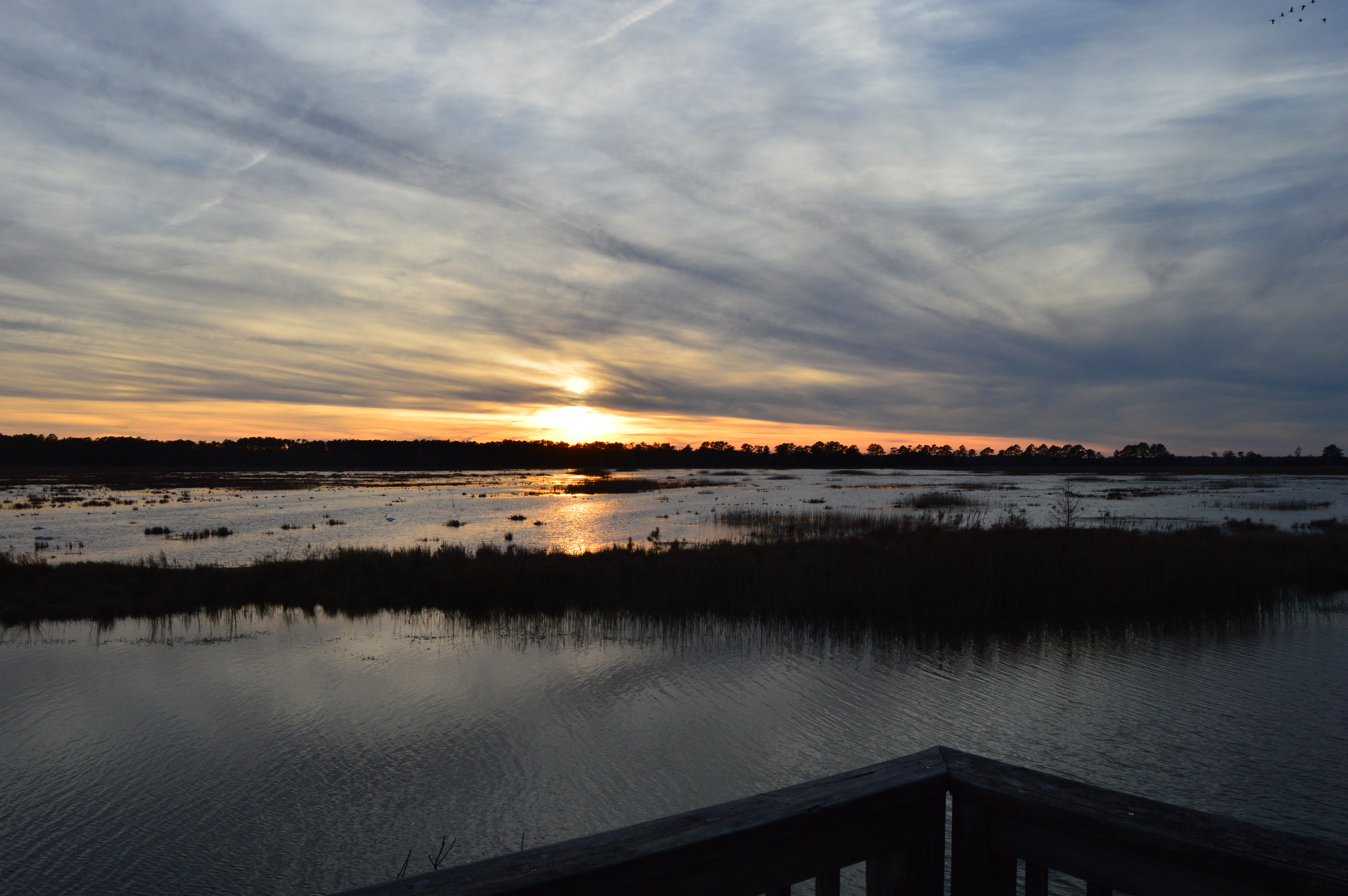 Lawsuit: stop chemical treatment at Lake Mattamuskeet | WFAE 90.7 - Charlotte's NPR News Source - Vimarsana News